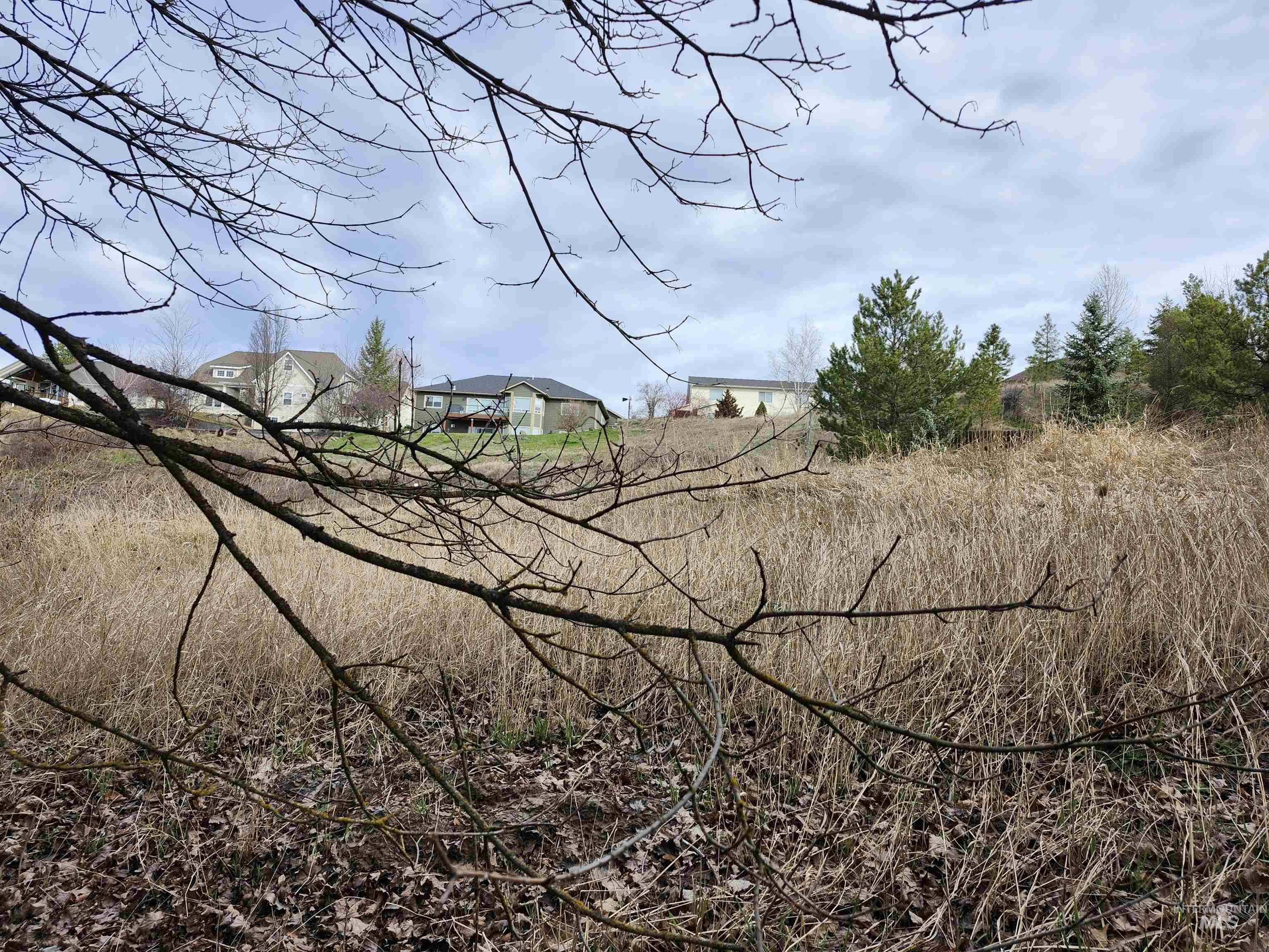 2129 West View Drive, Moscow, Idaho 83843, Land For Sale, Price $125,000,MLS 98979089