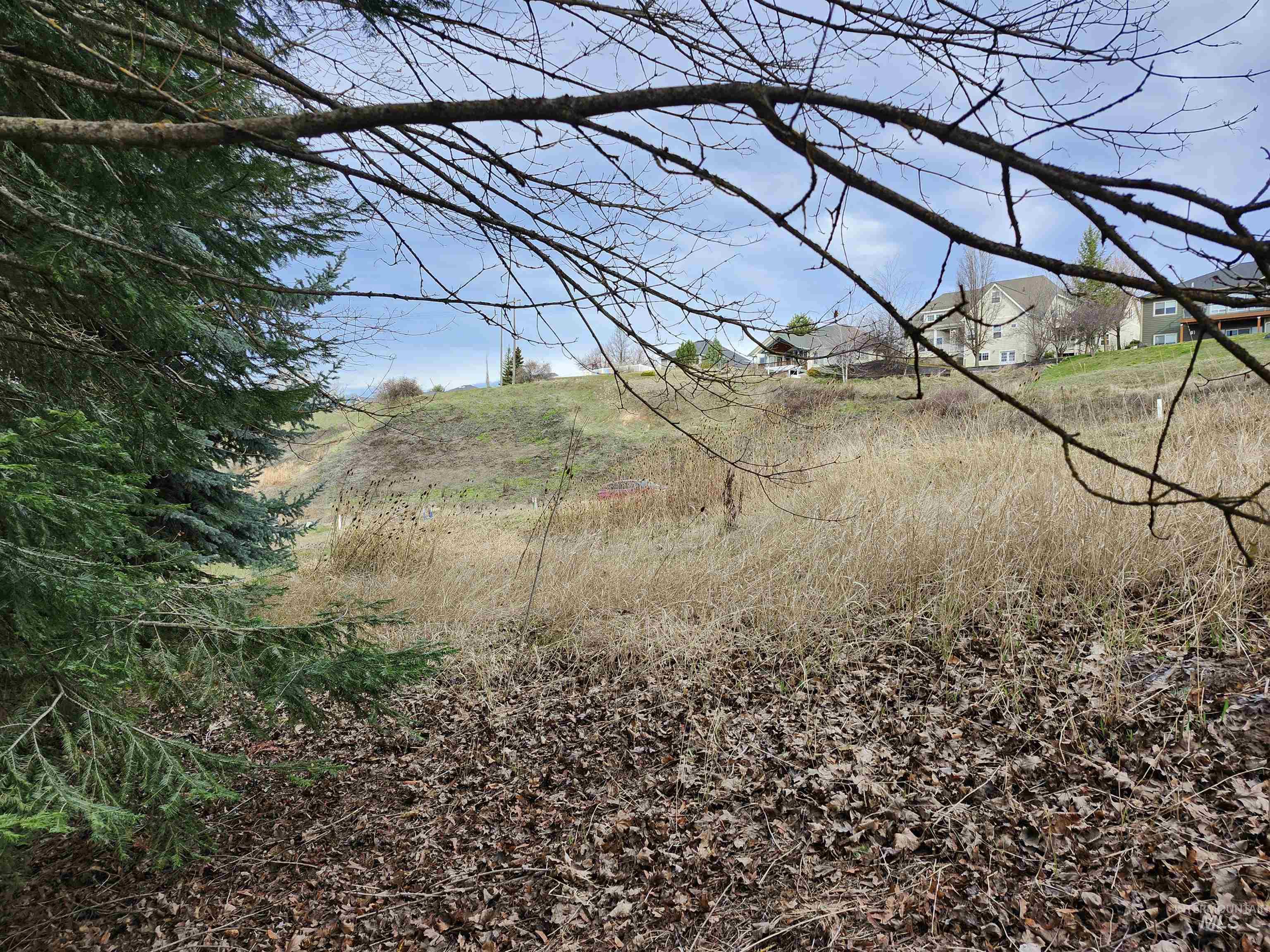 2129 West View Drive, Moscow, Idaho 83843, Land For Sale, Price $125,000,MLS 98979089