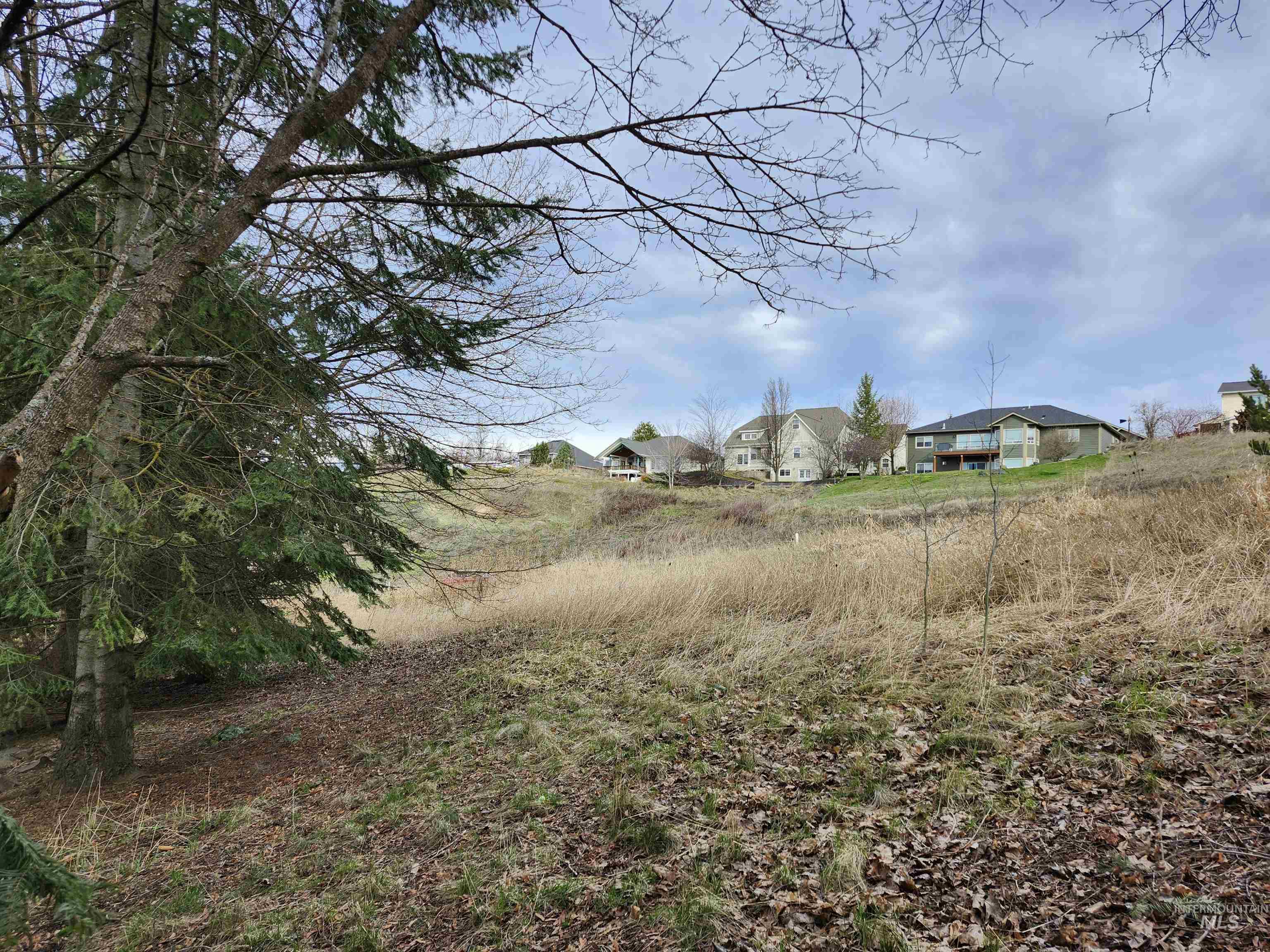 2129 West View Drive, Moscow, Idaho 83843, Land For Sale, Price $125,000,MLS 98979089