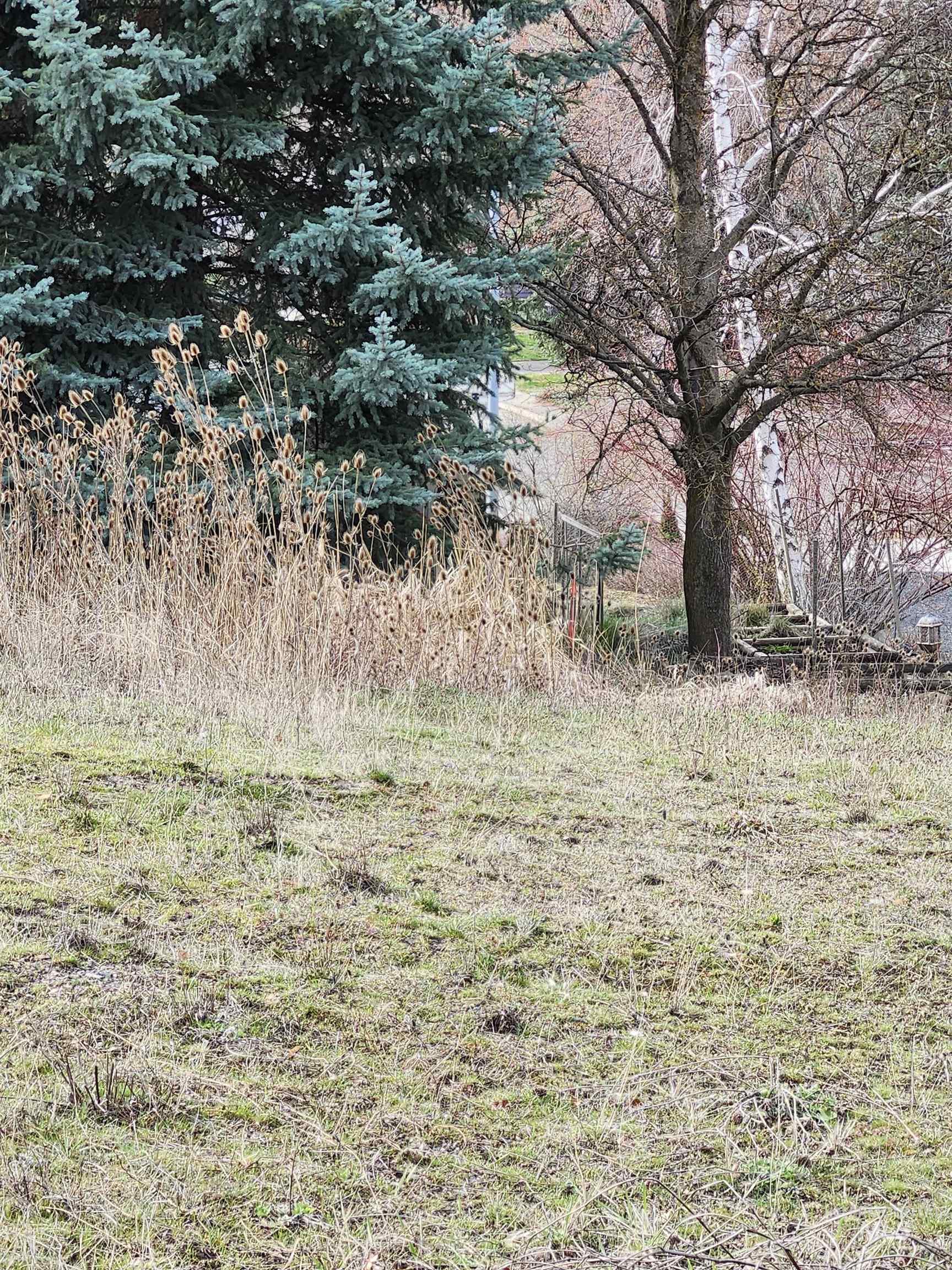 2129 West View Drive, Moscow, Idaho 83843, Land For Sale, Price $125,000,MLS 98979089