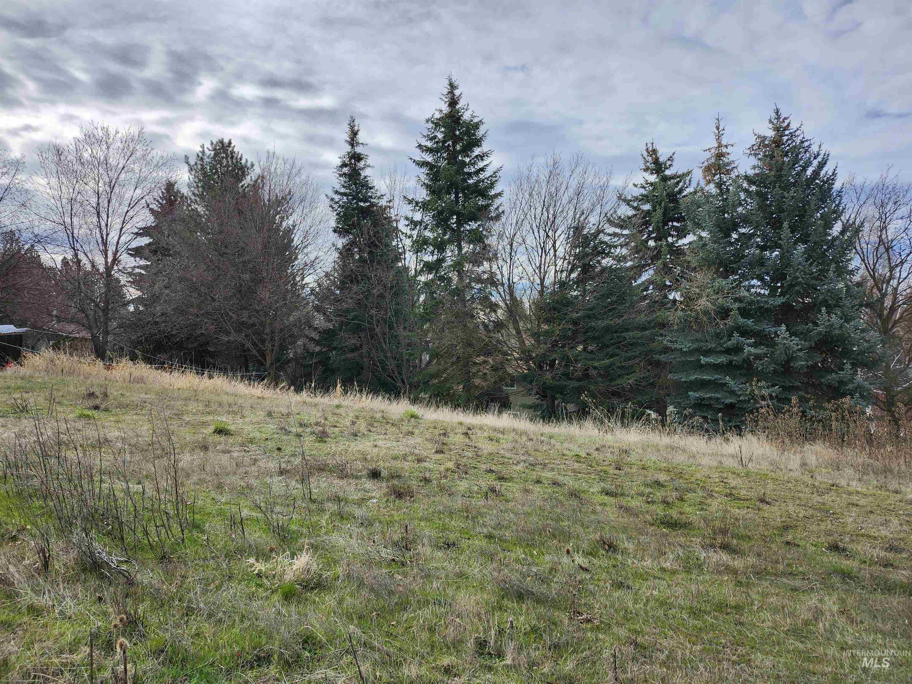 2129 West View Drive, Moscow, Idaho 83843, Land For Sale, Price $125,000,MLS 98979089