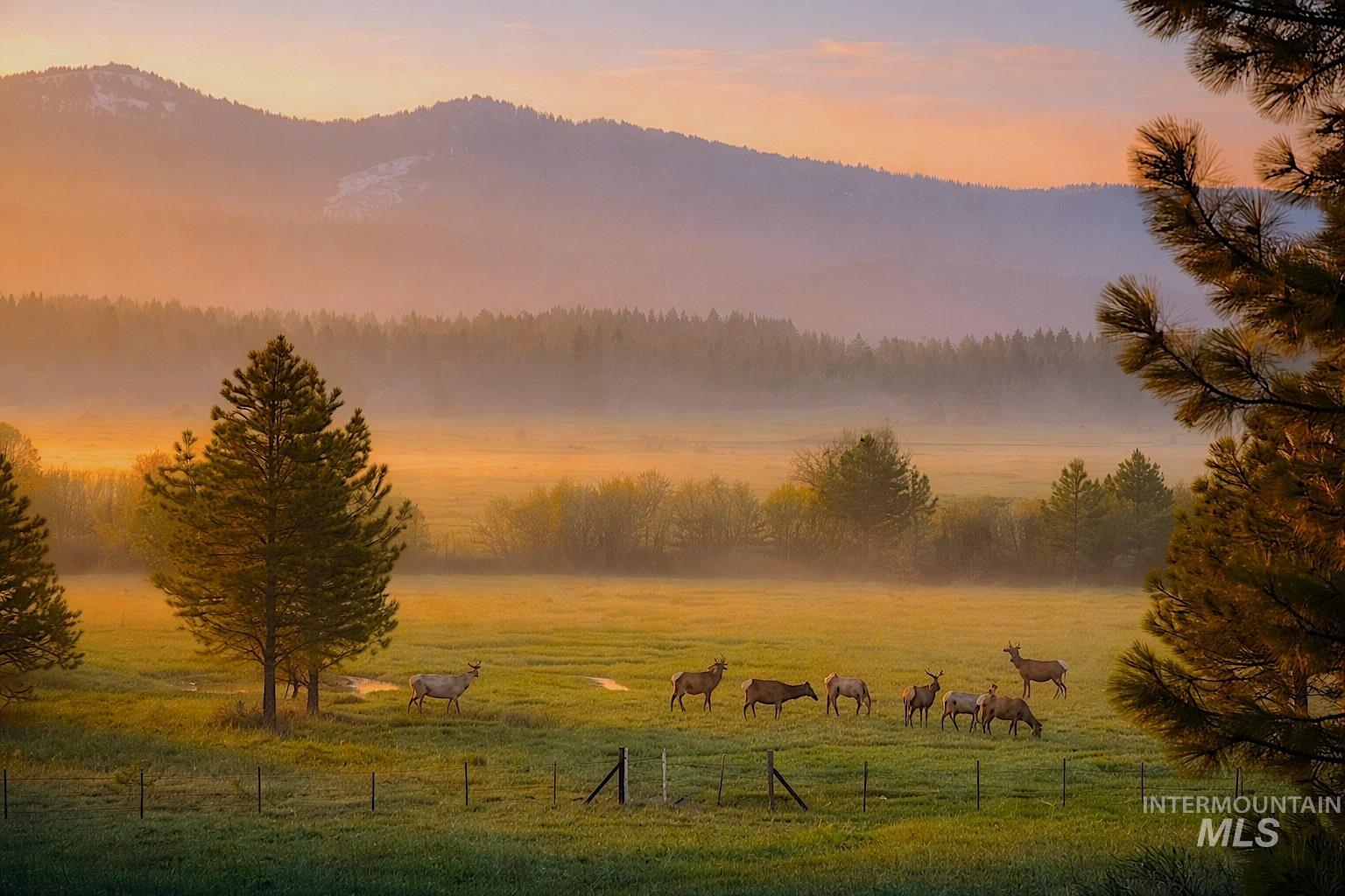 1217 Elo Road, McCall, Idaho 83638, Land For Sale, Price $795,000,MLS 98979093