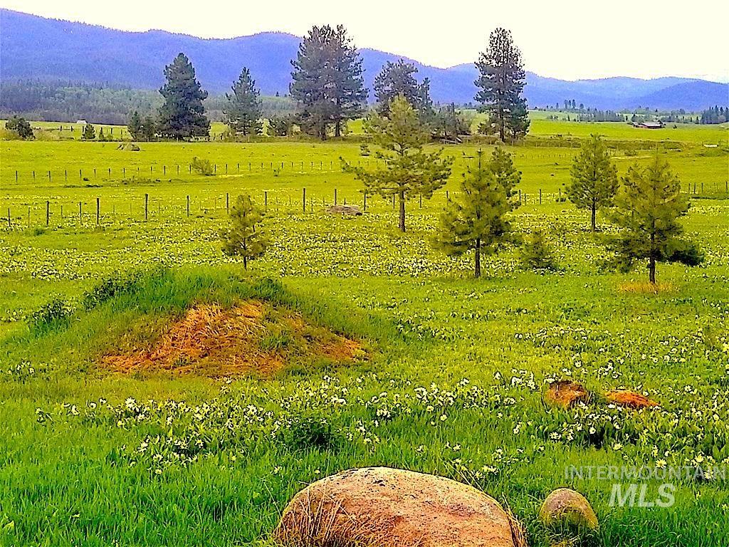 1217 Elo Road, McCall, Idaho 83638, Land For Sale, Price $795,000, 98979093