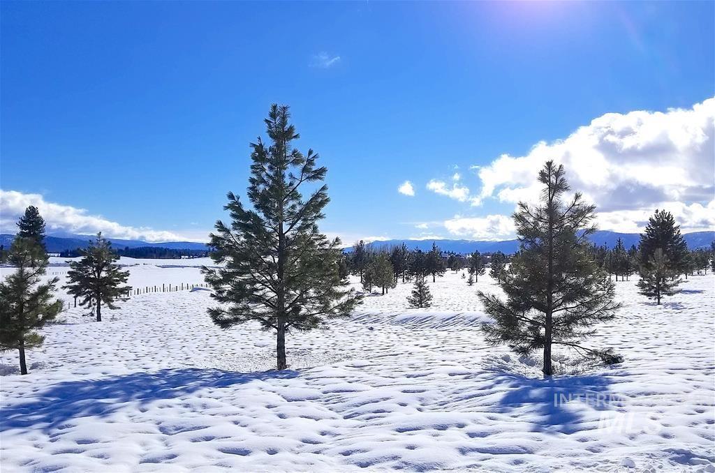 1217 Elo Road, McCall, Idaho 83638, Land For Sale, Price $795,000, 98979093
