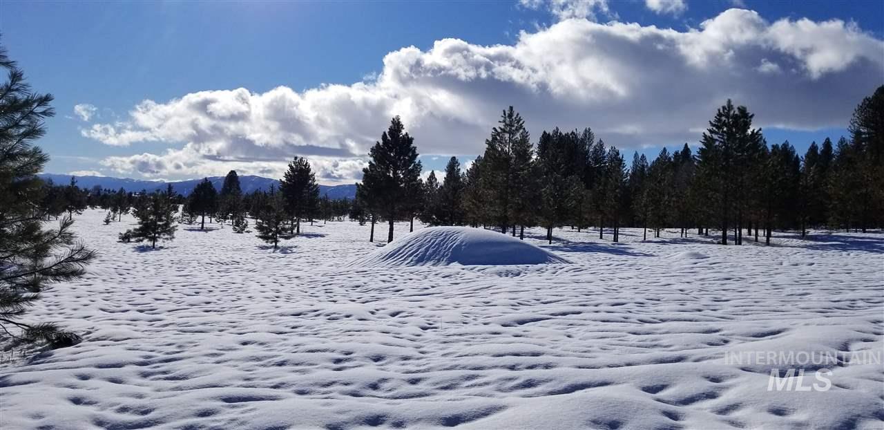1217 Elo Road, McCall, Idaho 83638, Land For Sale, Price $795,000, 98979093