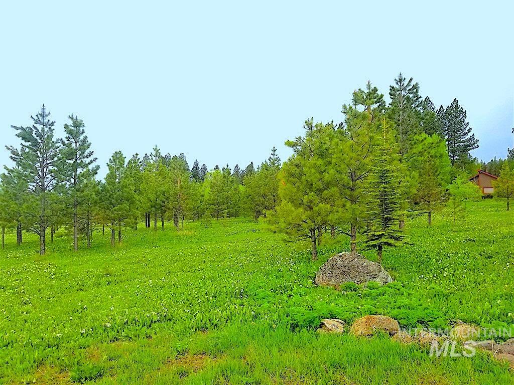 1217 Elo Road, McCall, Idaho 83638, Land For Sale, Price $795,000, 98979093