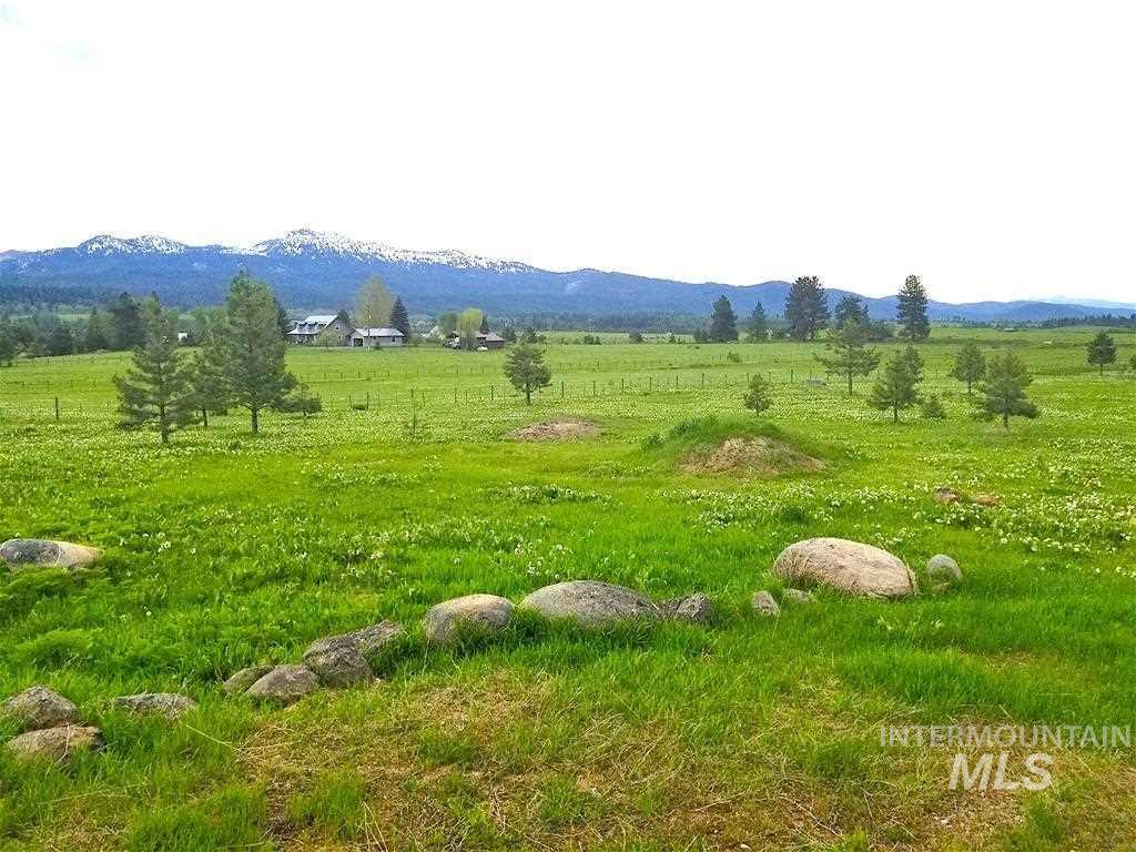 1217 Elo Road, McCall, Idaho 83638, Land For Sale, Price $795,000, 98979093