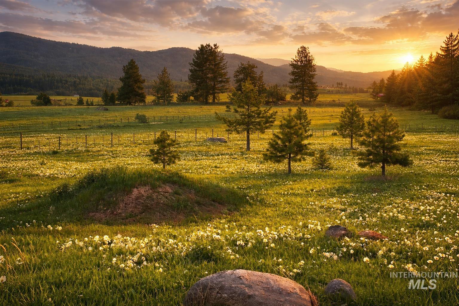 1217 Elo Road, McCall, Idaho 83638, Land For Sale, Price $795,000, 98979093