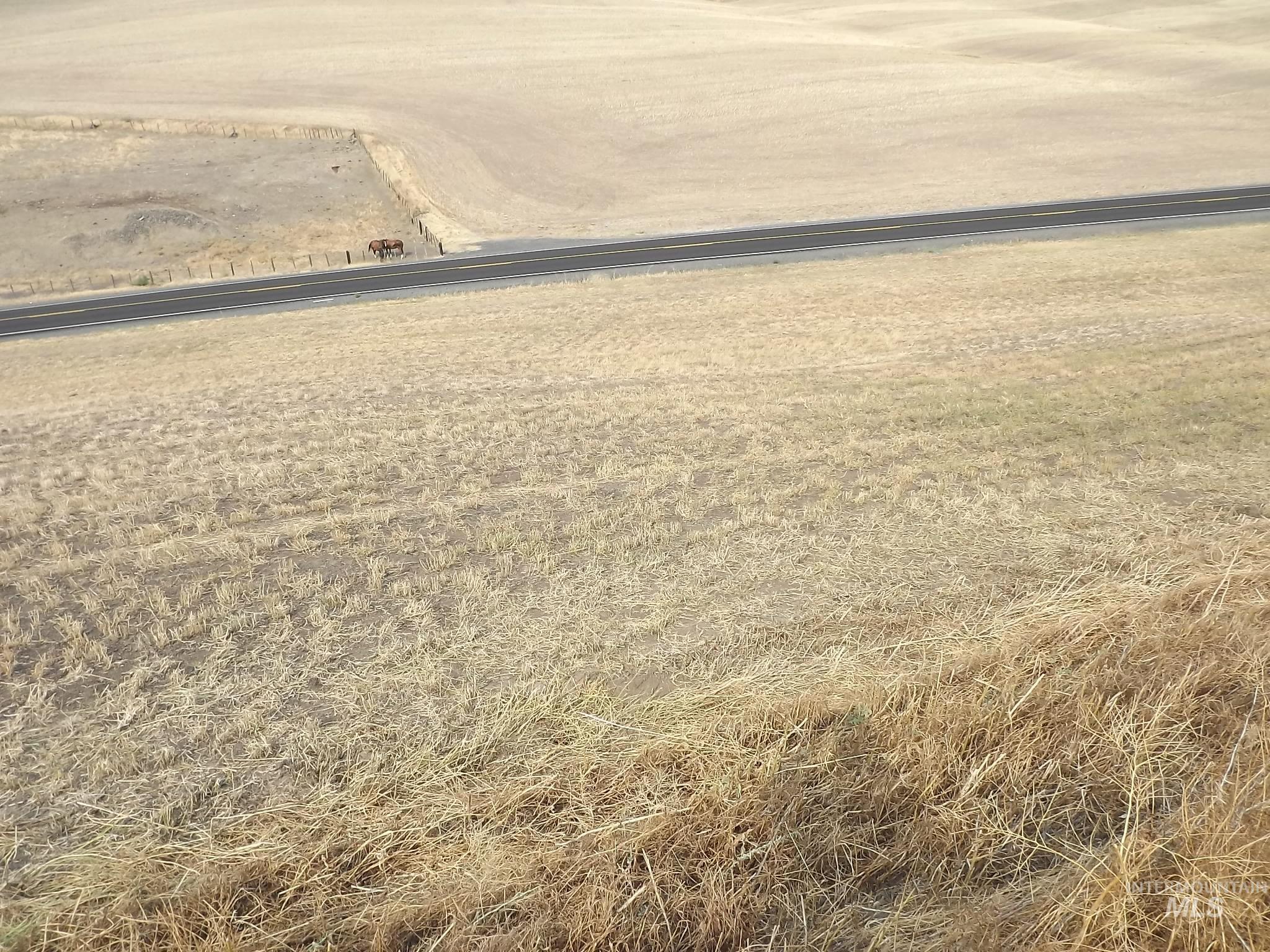 19104 Webb Road, Lewiston, Idaho 83501, Land For Sale, Price $225,000,MLS 98979096