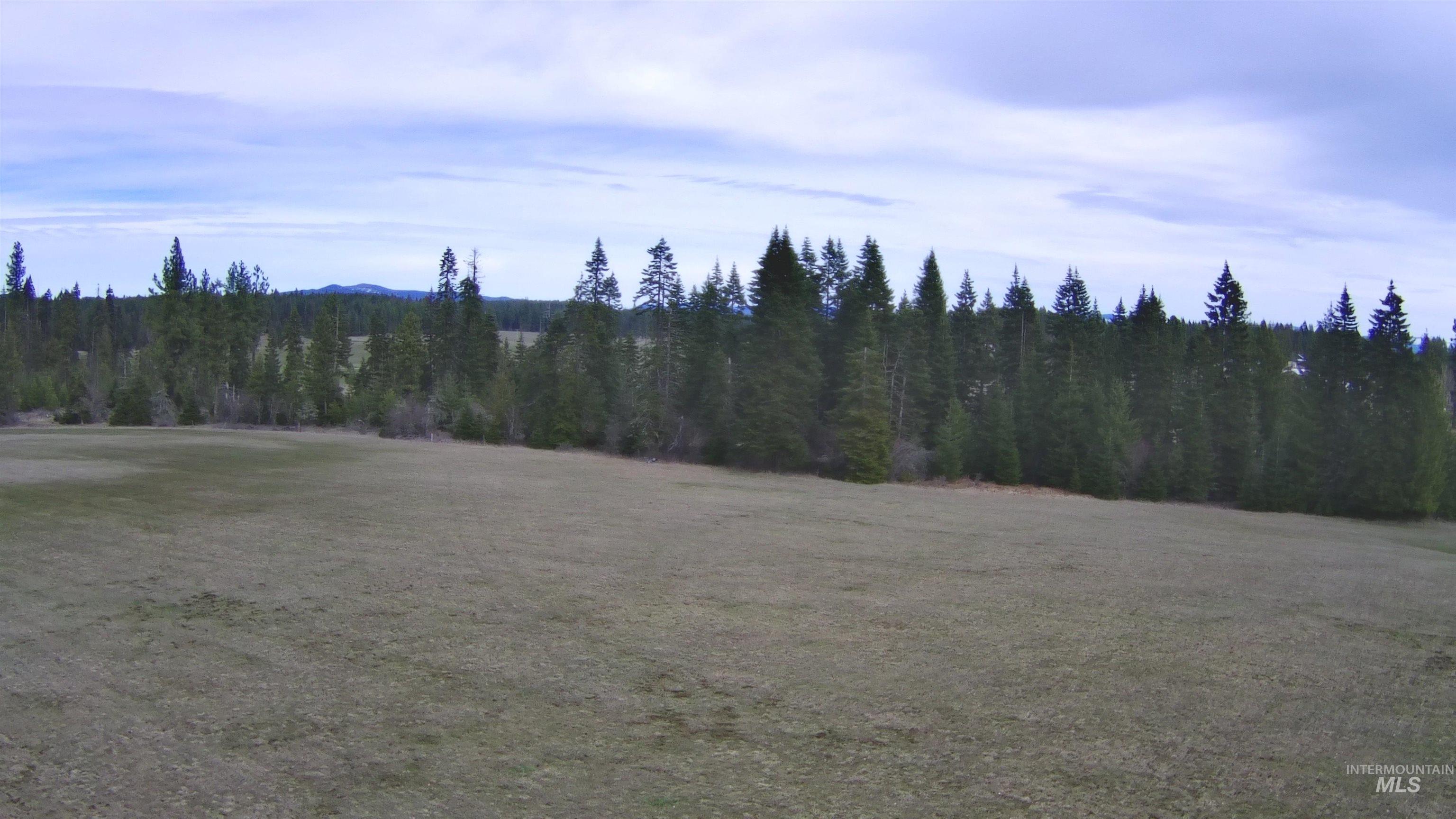 TBD Upper Fords Creek Rd, Orofino, Idaho 83544, Land For Sale, Price $339,000,MLS 98979111