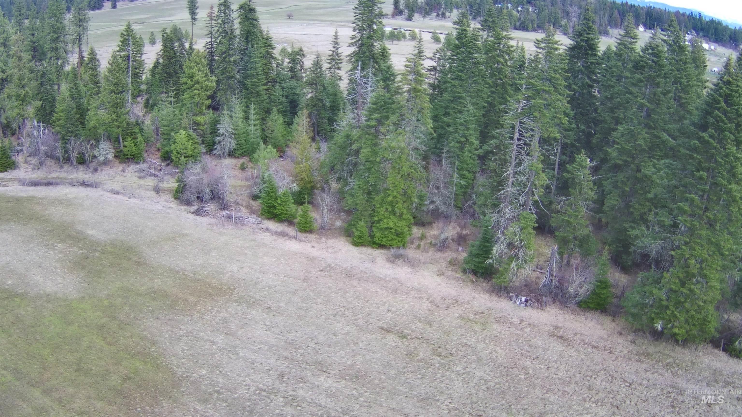 TBD Upper Fords Creek Rd, Orofino, Idaho 83544, Land For Sale, Price $339,000,MLS 98979111