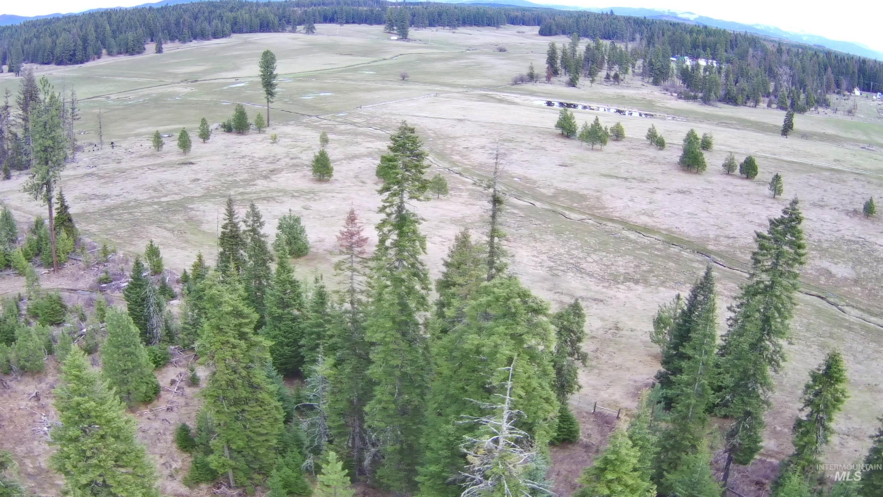 TBD Upper Fords Creek Rd, Orofino, Idaho 83544, Land For Sale, Price $339,000,MLS 98979111