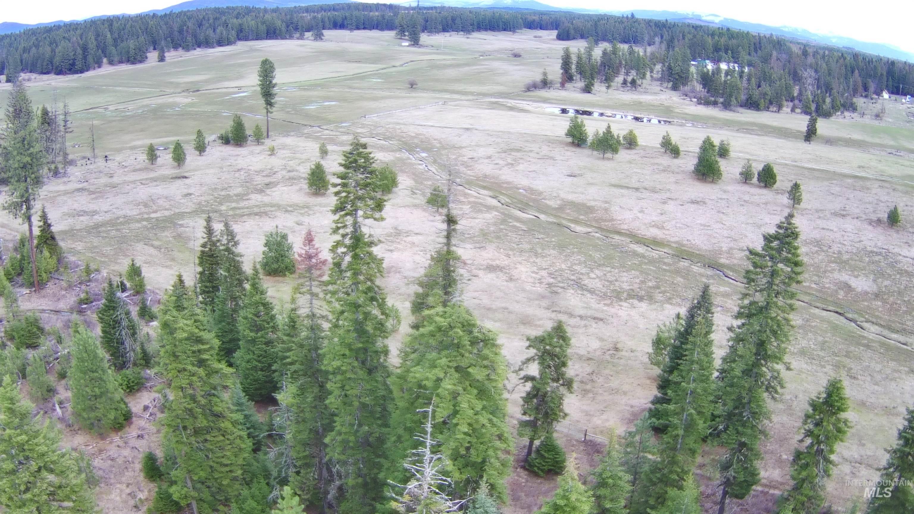 TBD Upper Fords Creek Rd, Orofino, Idaho 83544, Land For Sale, Price $339,000,MLS 98979111