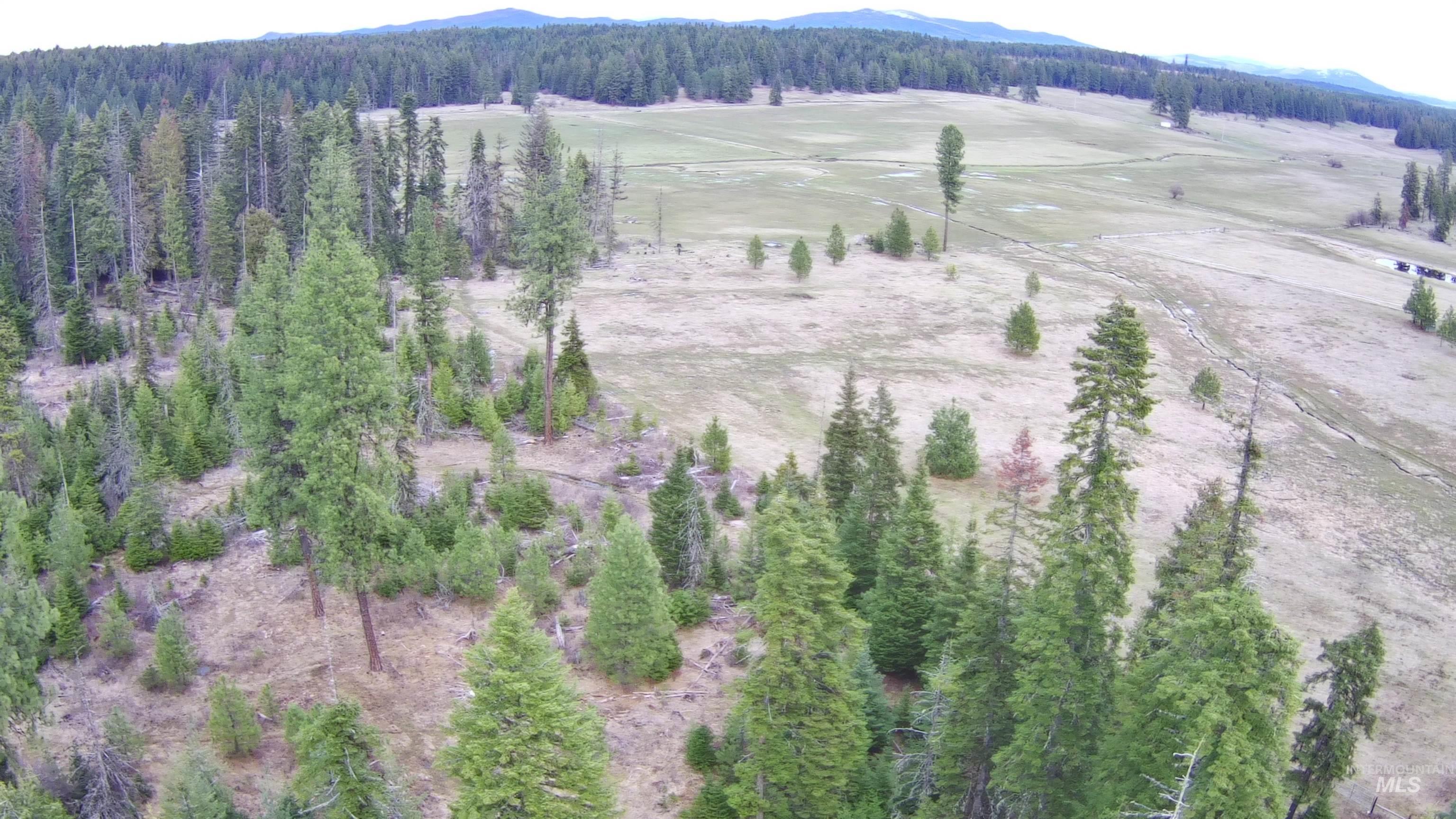 TBD Upper Fords Creek Rd, Orofino, Idaho 83544, Land For Sale, Price $339,000,MLS 98979111