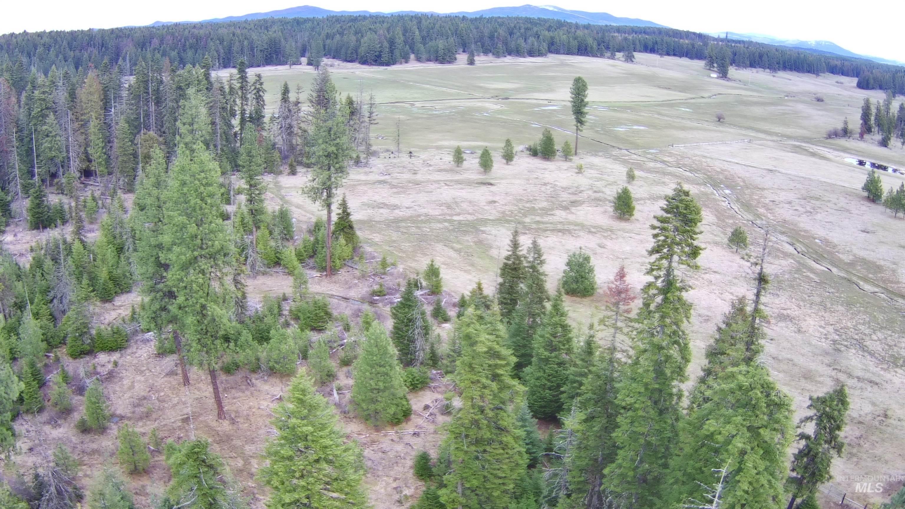TBD Upper Fords Creek Rd, Orofino, Idaho 83544, Land For Sale, Price $339,000,MLS 98979111