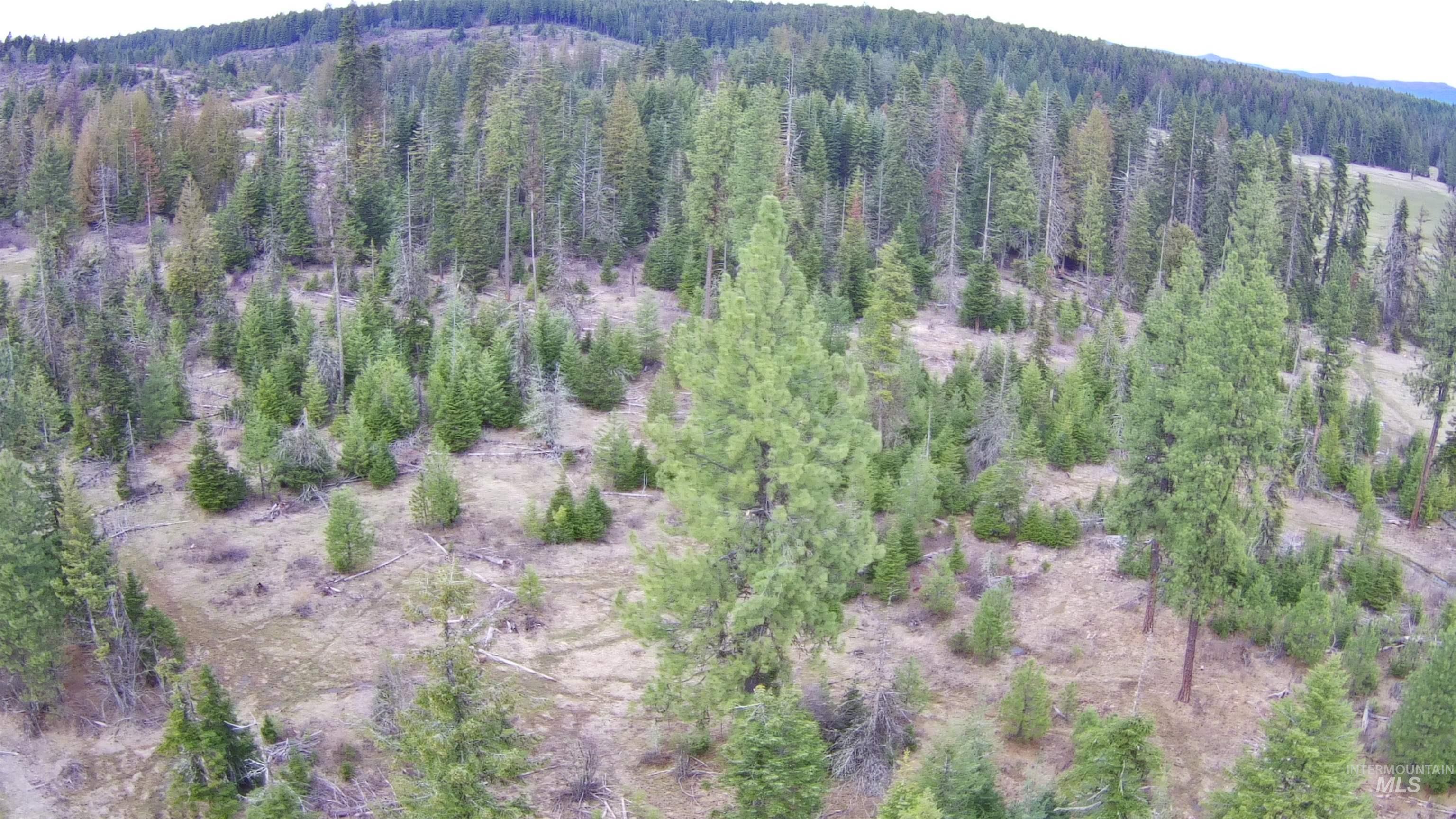 TBD Upper Fords Creek Rd, Orofino, Idaho 83544, Land For Sale, Price $339,000,MLS 98979111
