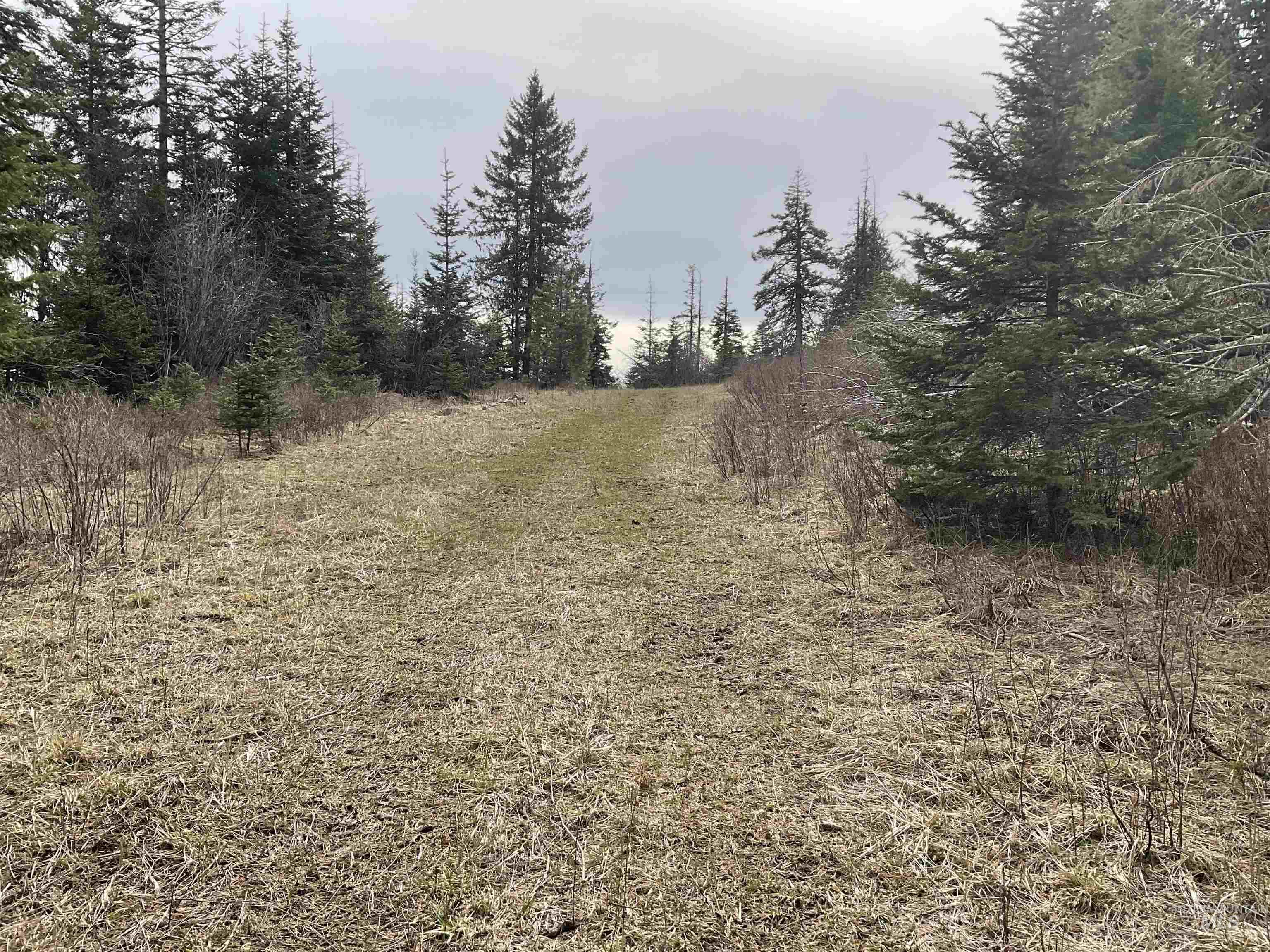 TBD Upper Fords Creek Rd, Orofino, Idaho 83544, Land For Sale, Price $339,000,MLS 98979111