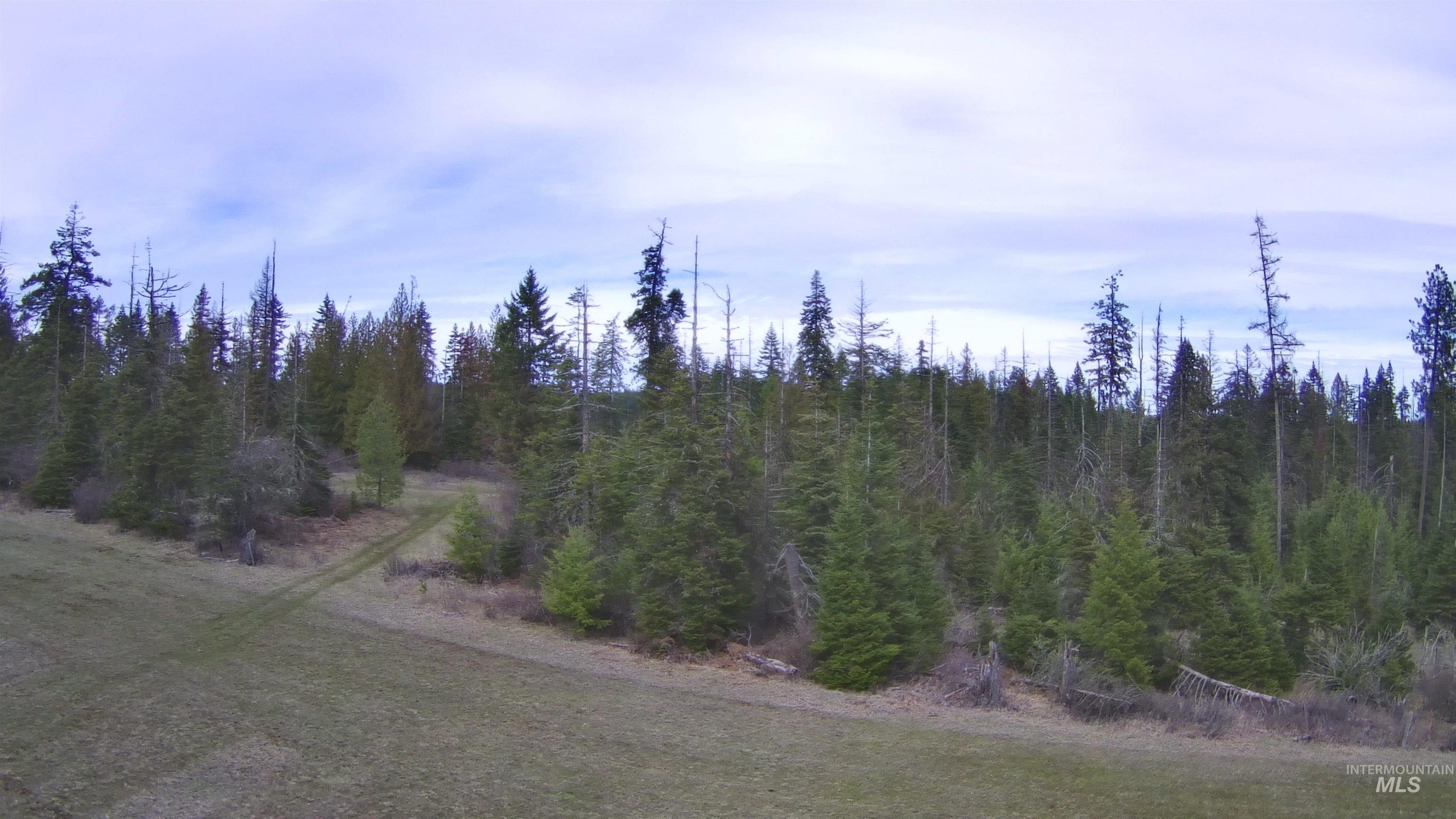 TBD Upper Fords Creek Rd, Orofino, Idaho 83544, Land For Sale, Price $339,000,MLS 98979111