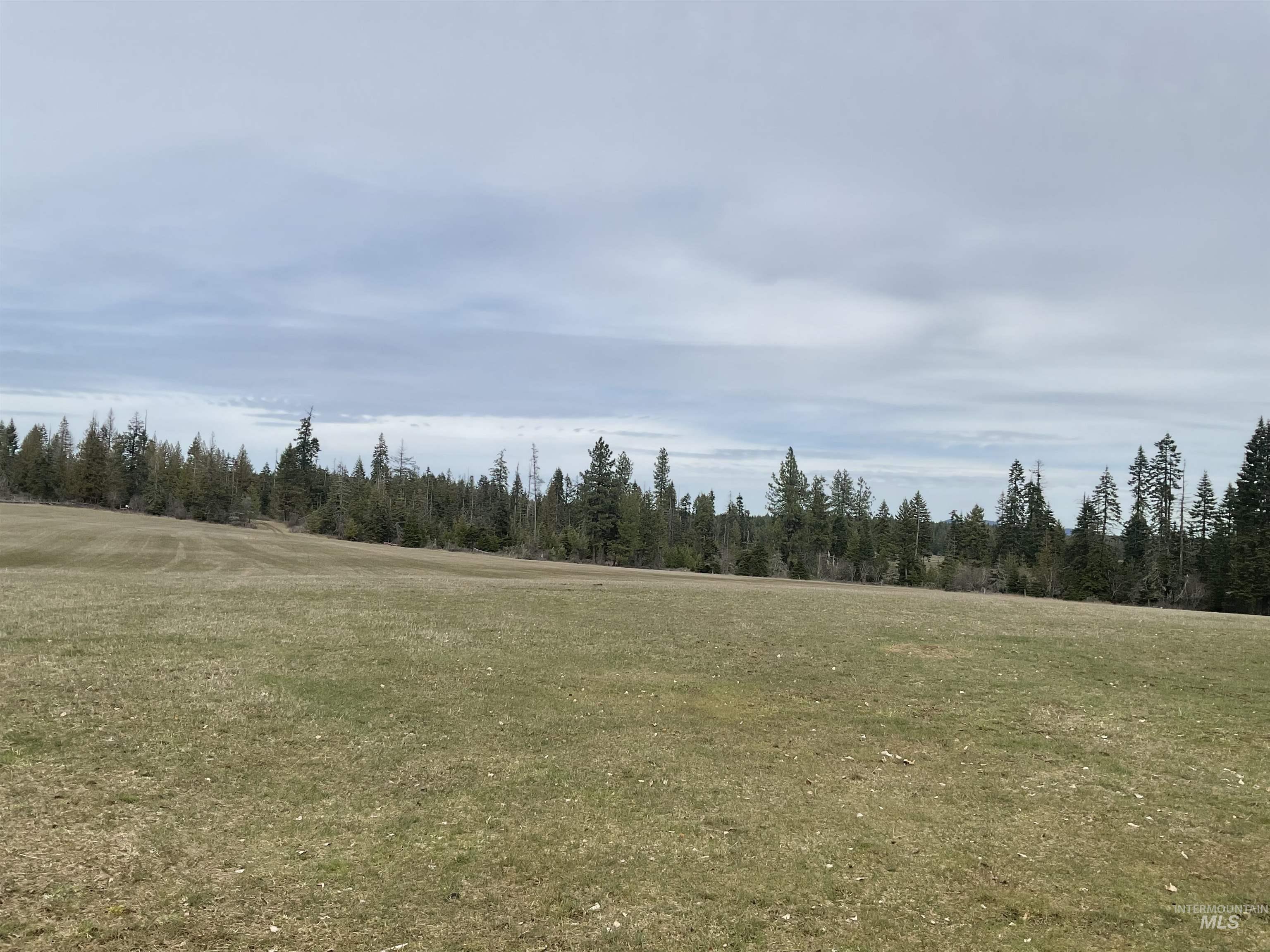 TBD Upper Fords Creek Rd, Orofino, Idaho 83544, Land For Sale, Price $339,000,MLS 98979111