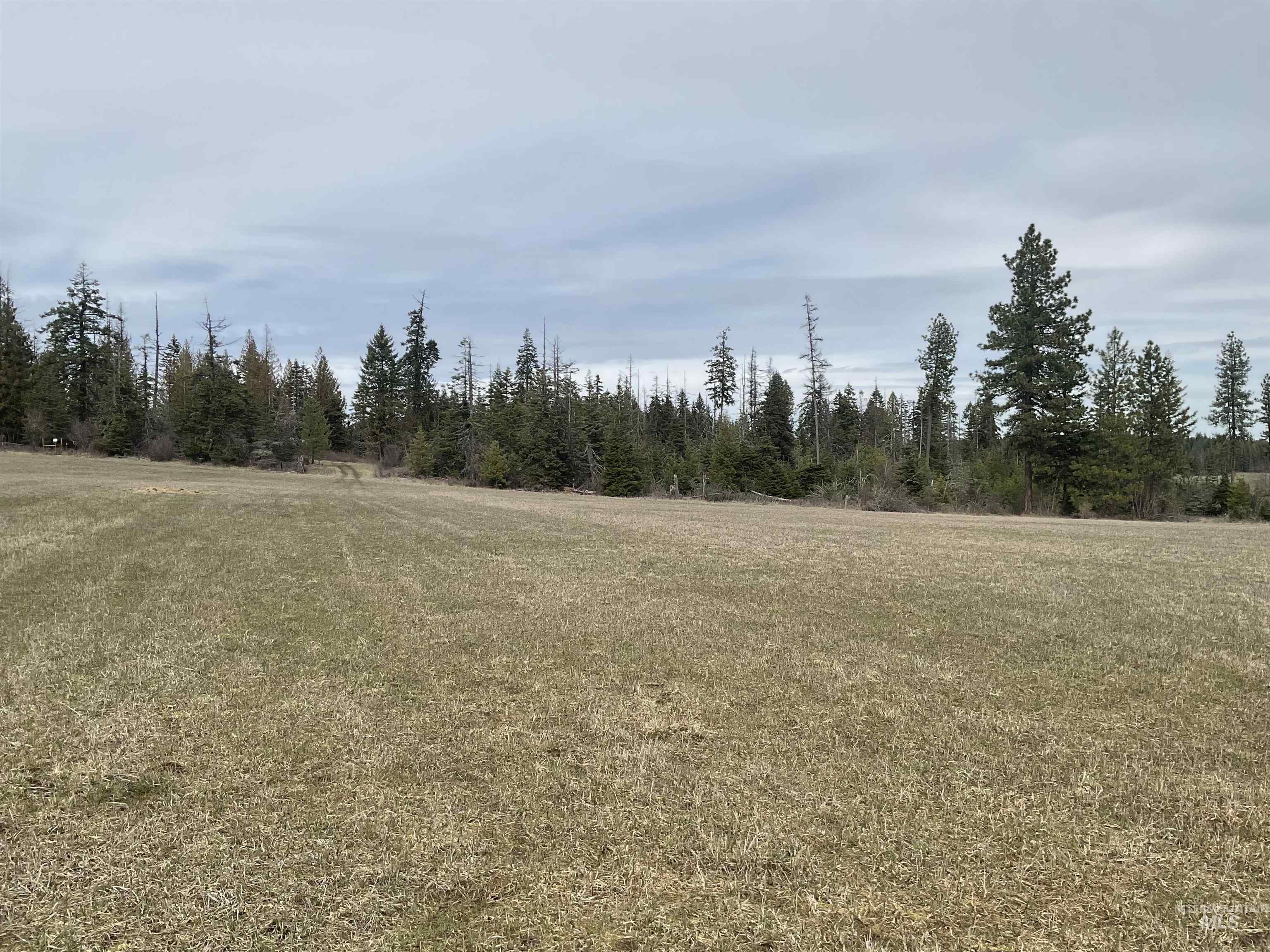 TBD Upper Fords Creek Rd, Orofino, Idaho 83544, Land For Sale, Price $339,000,MLS 98979111