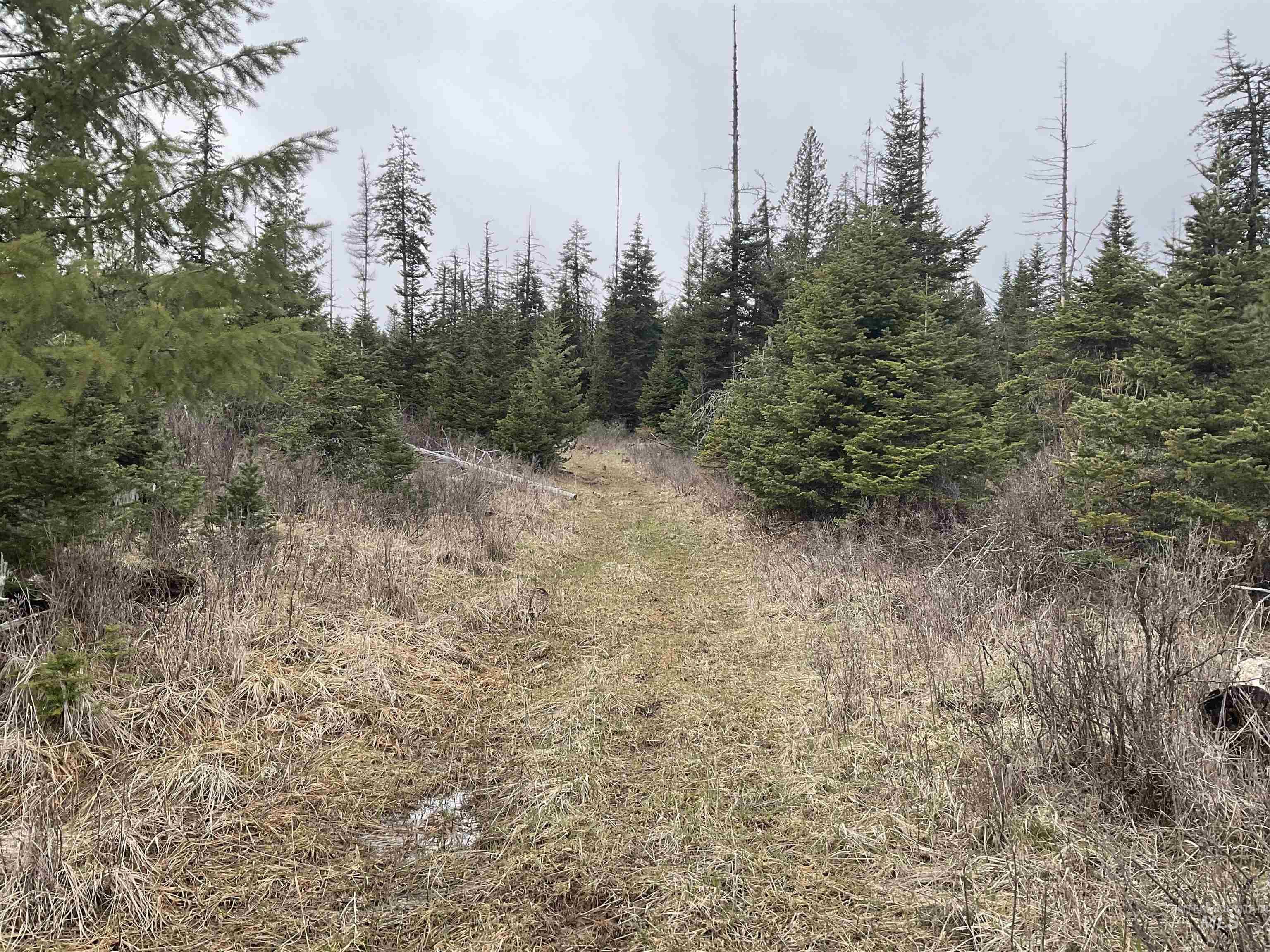 TBD Upper Fords Creek Rd, Orofino, Idaho 83544, Land For Sale, Price $339,000,MLS 98979111