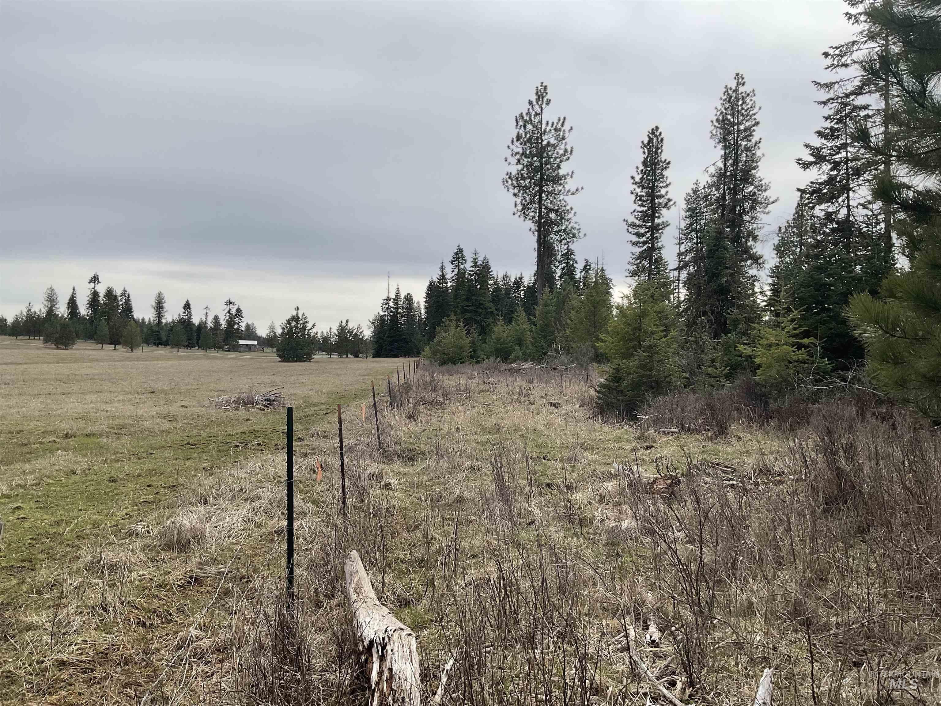 TBD Upper Fords Creek Rd, Orofino, Idaho 83544, Land For Sale, Price $339,000,MLS 98979111
