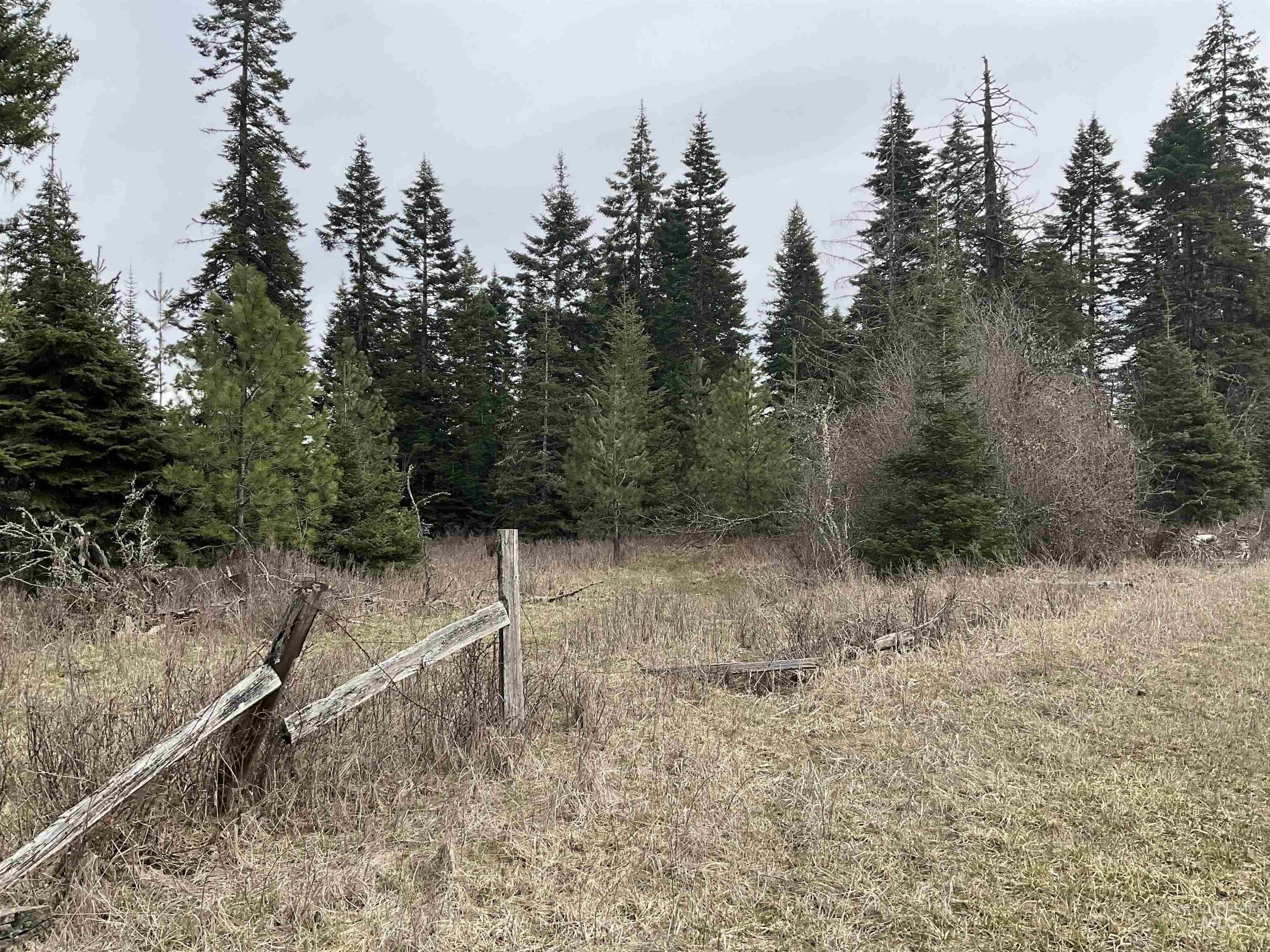 TBD Upper Fords Creek Rd, Orofino, Idaho 83544, Land For Sale, Price $339,000,MLS 98979111