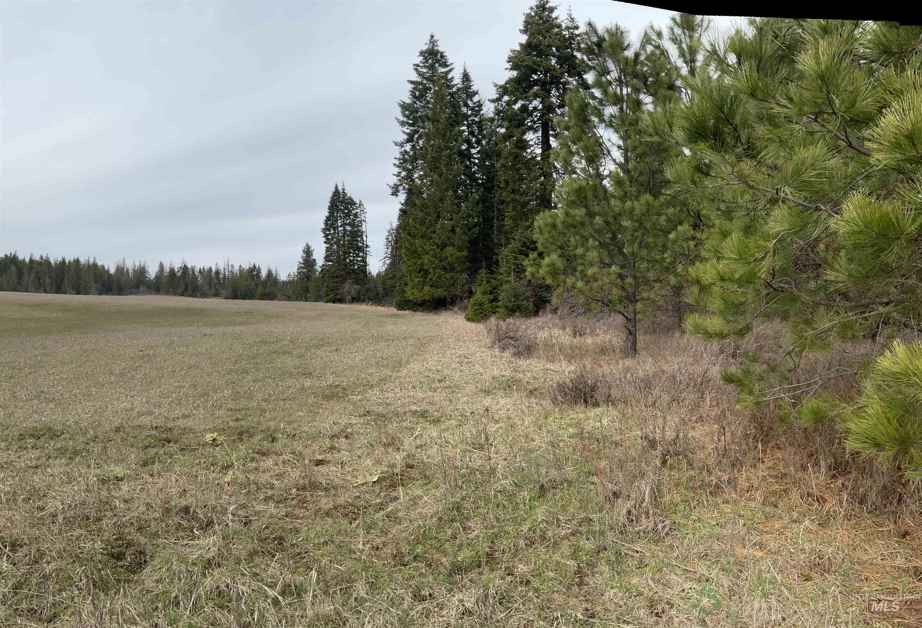 TBD Upper Fords Creek Rd, Orofino, Idaho 83544, Land For Sale, Price $339,000,MLS 98979111