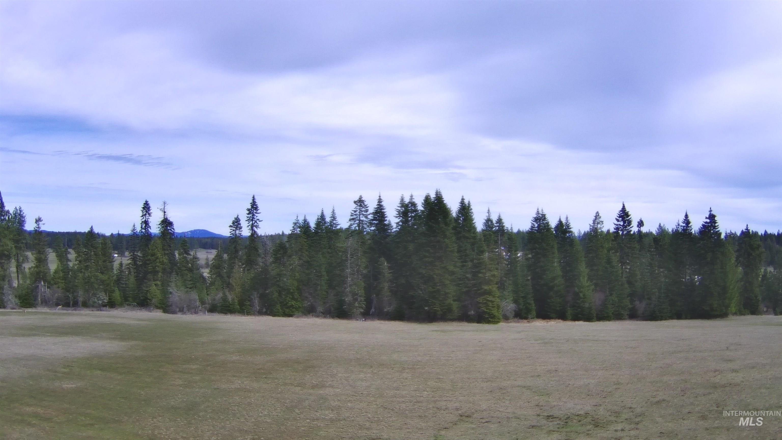 TBD Upper Fords Creek Rd, Orofino, Idaho 83544, Land For Sale, Price $339,000,MLS 98979111