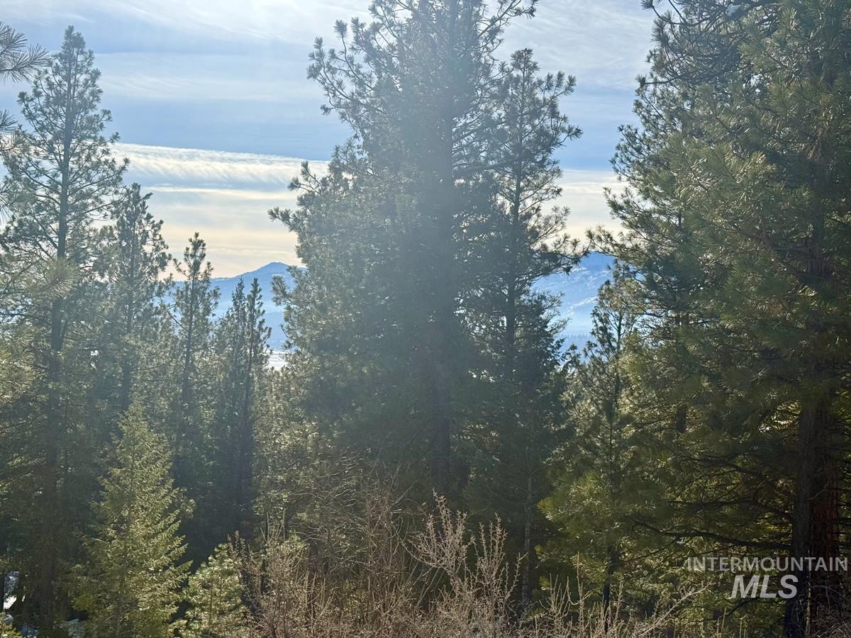 4 Chino Spur, Cascade, Idaho 83611, 3 Bedrooms, 3 Bathrooms, Residential For Sale, Price $1,700,000, 98979125