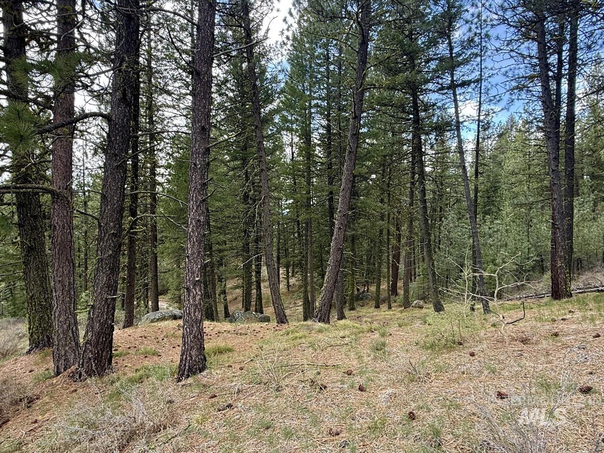 4 Chino Spur, Cascade, Idaho 83611, 3 Bedrooms, 3 Bathrooms, Residential For Sale, Price $1,700,000, 98979125
