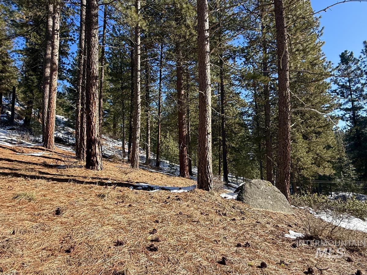 4 Chino Spur, Cascade, Idaho 83611, 3 Bedrooms, 3 Bathrooms, Residential For Sale, Price $1,700,000, 98979125