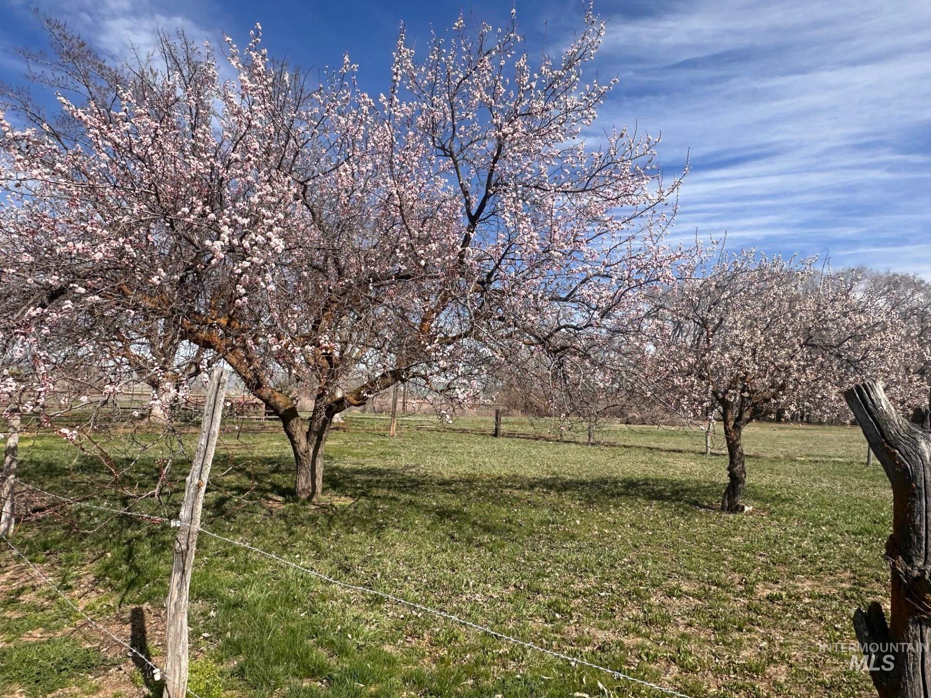1009 County Road 70, Weiser, Idaho 83672, 3 Bedrooms, 2 Bathrooms, Residential For Sale, Price $469,000, 98979129