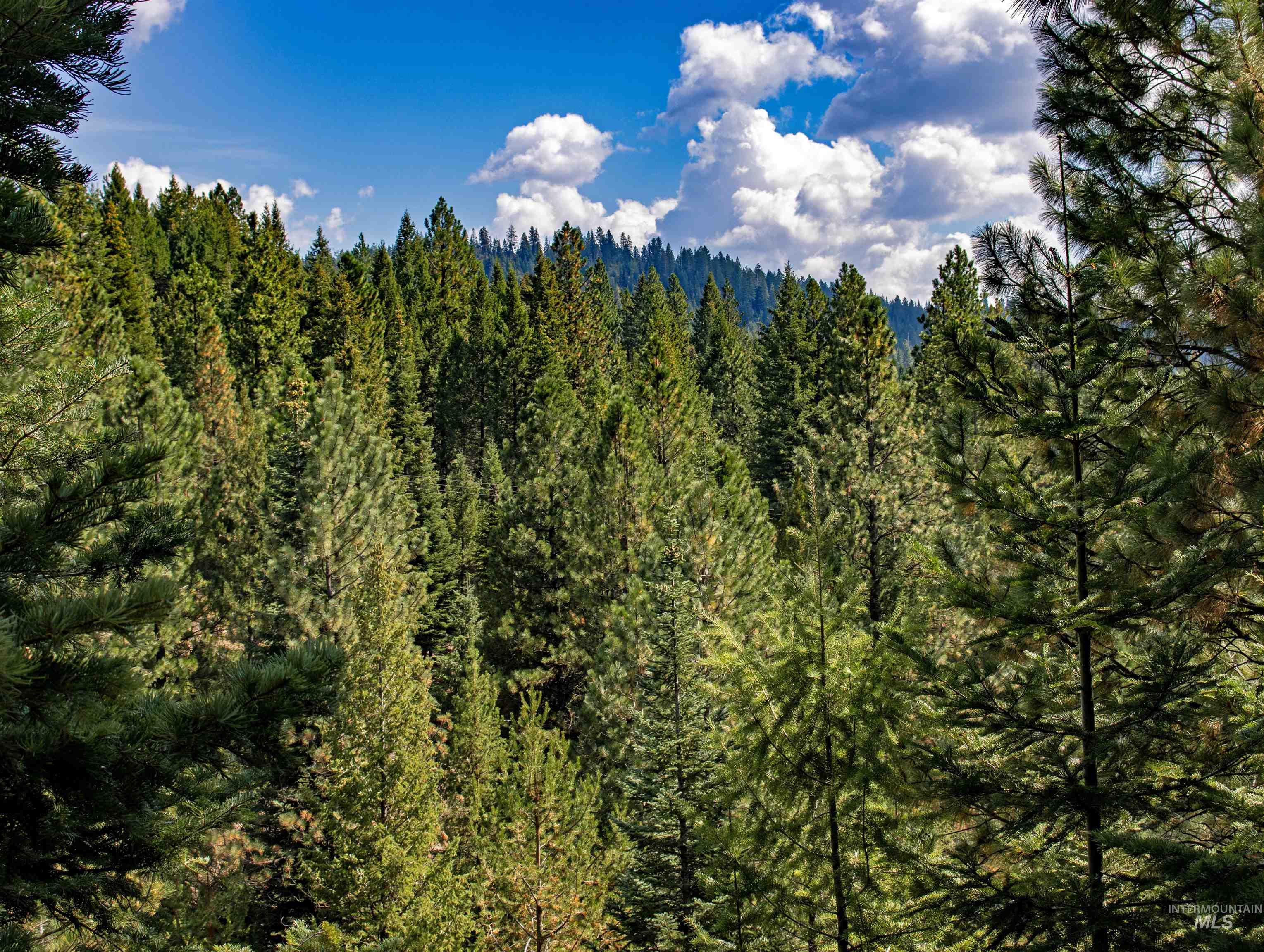 TBD 1 High Valley Road, High Valley, Idaho 83611, Land For Sale, Price $1,080,000,MLS 98979158