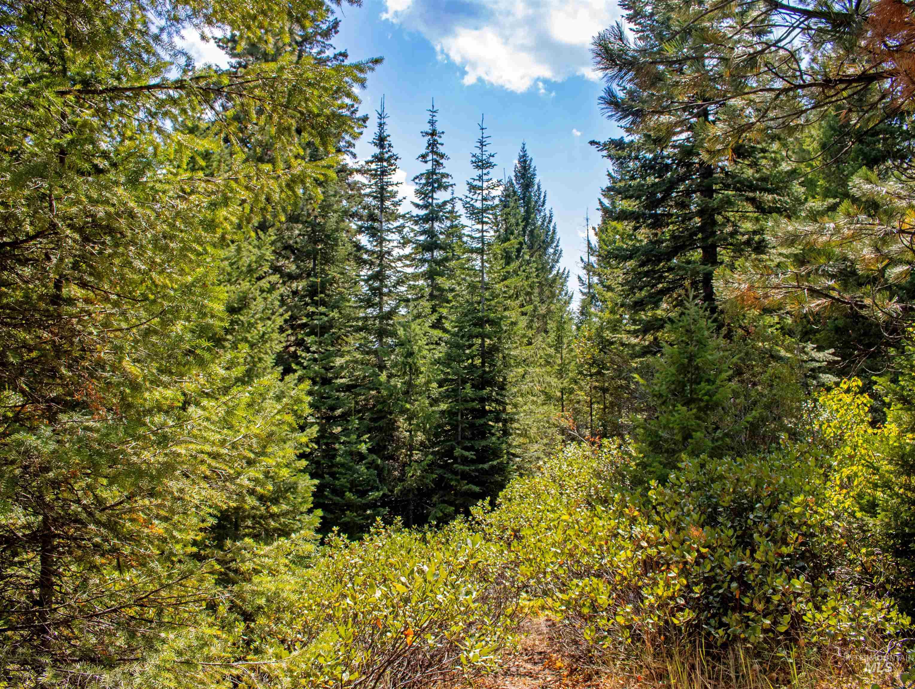 TBD 1 High Valley Road, High Valley, Idaho 83611, Land For Sale, Price $1,080,000,MLS 98979158