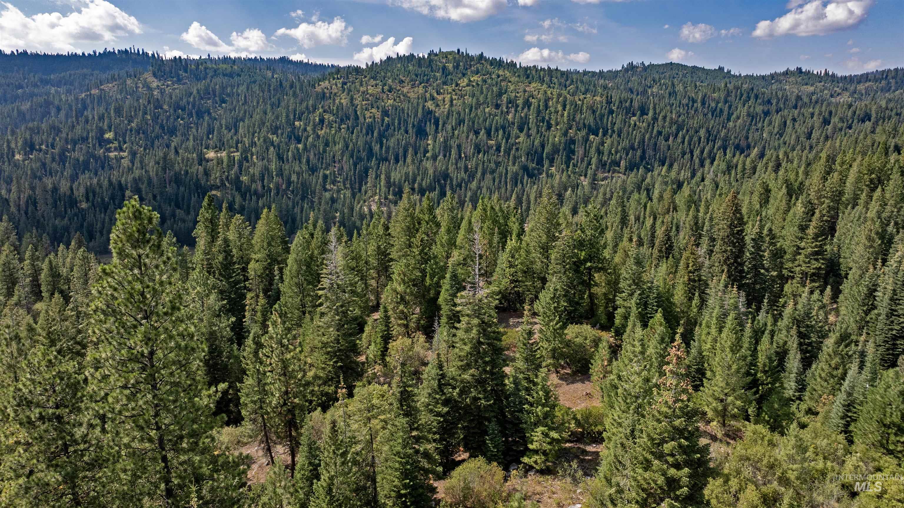 TBD 1 High Valley Road, High Valley, Idaho 83611, Land For Sale, Price $1,080,000,MLS 98979158