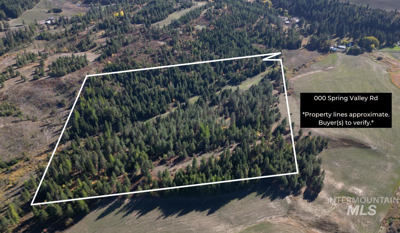 000 Spring Valley Rd., Troy, Idaho 83871, Land For Sale, Price $450,000, 98979170