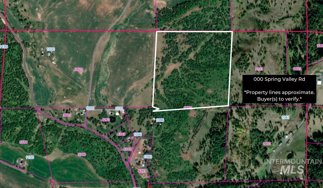 000 Spring Valley Rd., Troy, Idaho 83871, Land For Sale, Price $450,000, 98979170