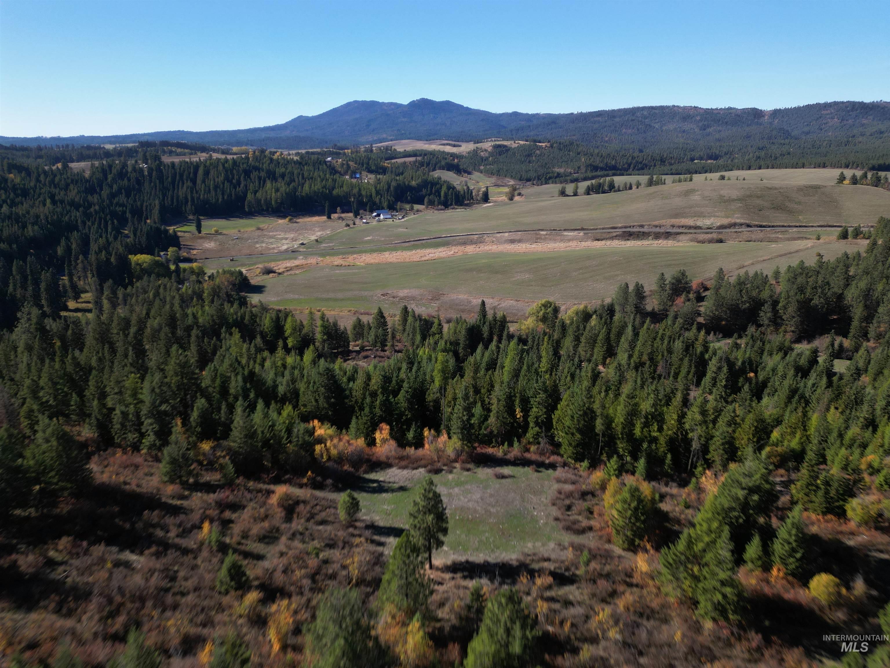 000 Spring Valley Rd., Troy, Idaho 83871, Land For Sale, Price $450,000, 98979170