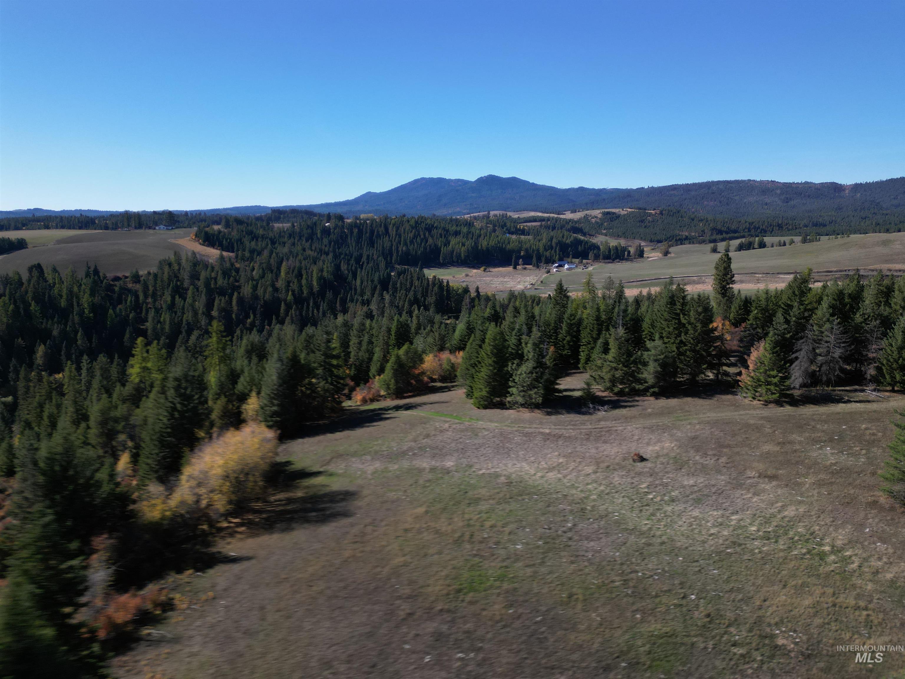 000 Spring Valley Rd., Troy, Idaho 83871, Land For Sale, Price $450,000, 98979170
