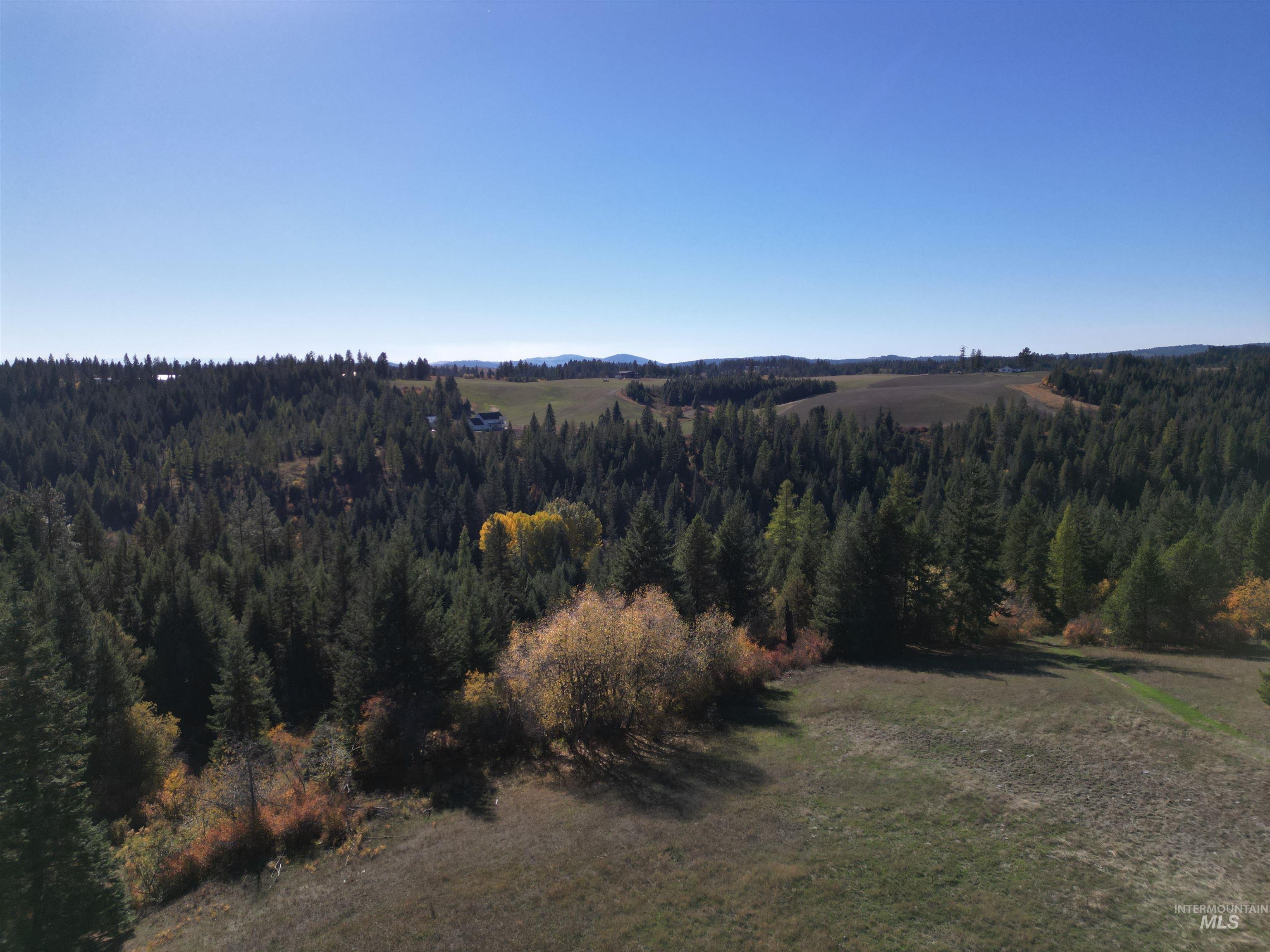 000 Spring Valley Rd., Troy, Idaho 83871, Land For Sale, Price $450,000, 98979170