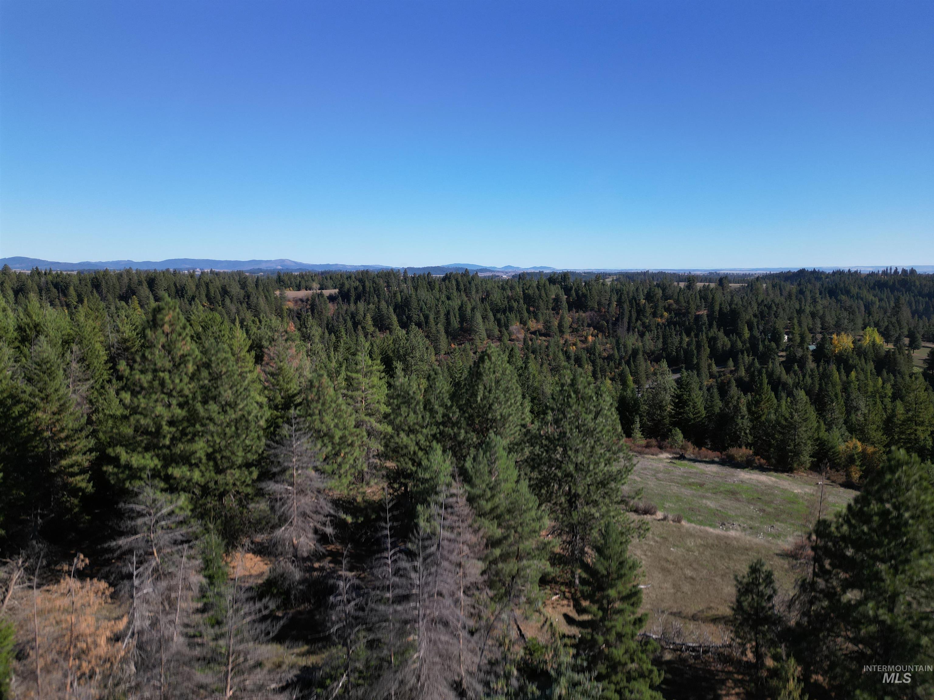 000 Spring Valley Rd., Troy, Idaho 83871, Land For Sale, Price $450,000, 98979170