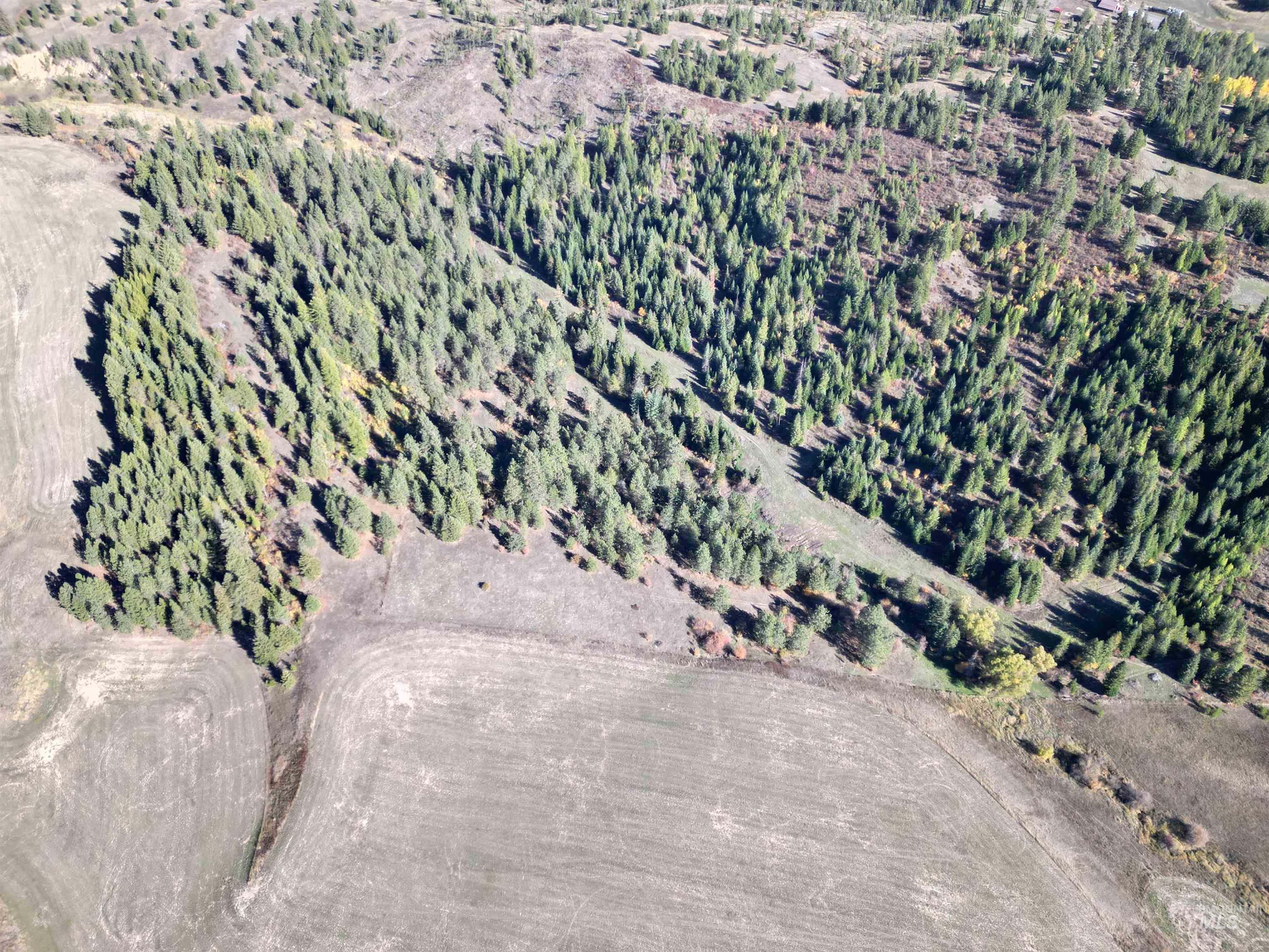 000 Spring Valley Rd., Troy, Idaho 83871, Land For Sale, Price $450,000, 98979170