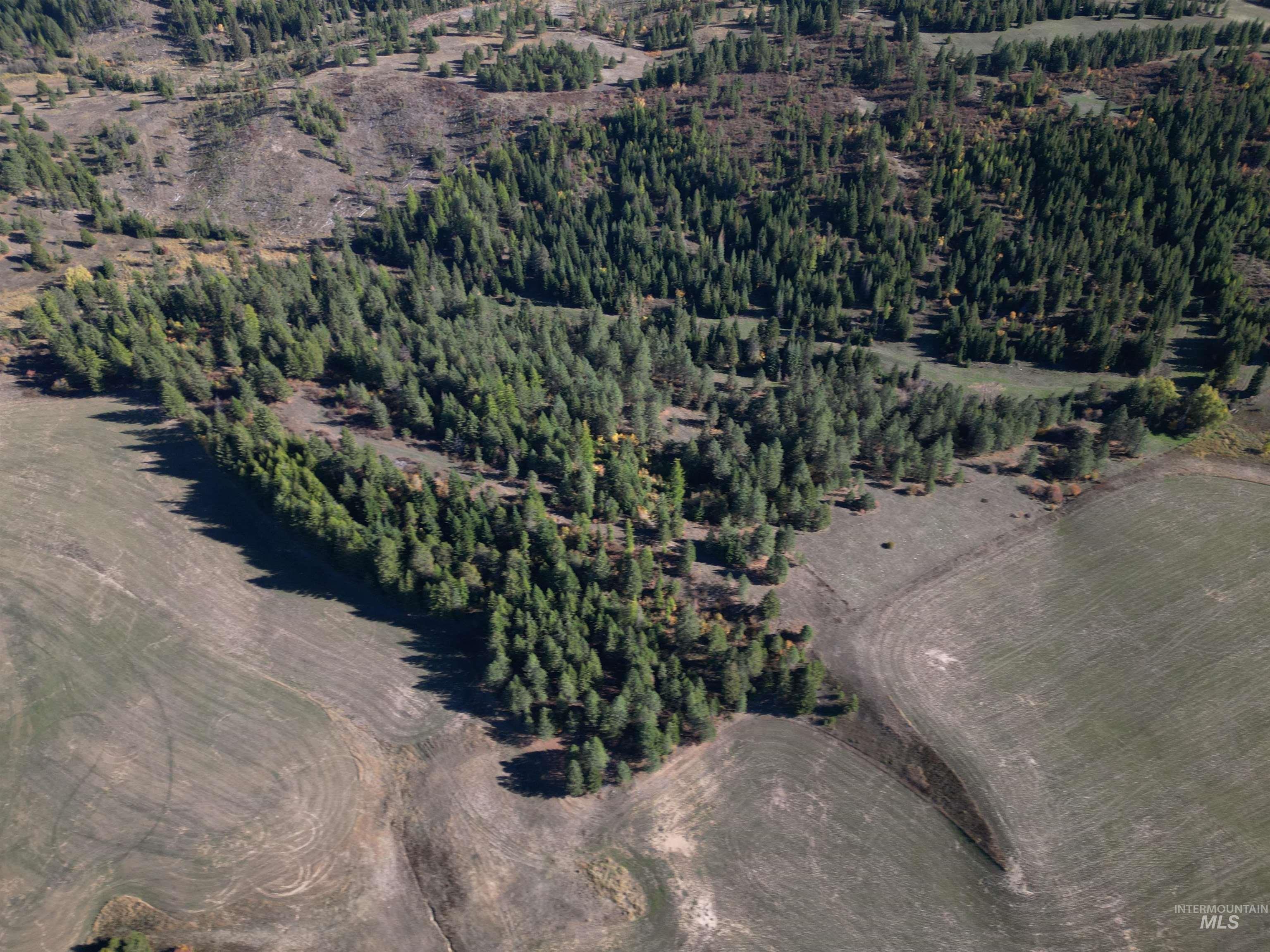 000 Spring Valley Rd., Troy, Idaho 83871, Land For Sale, Price $450,000, 98979170