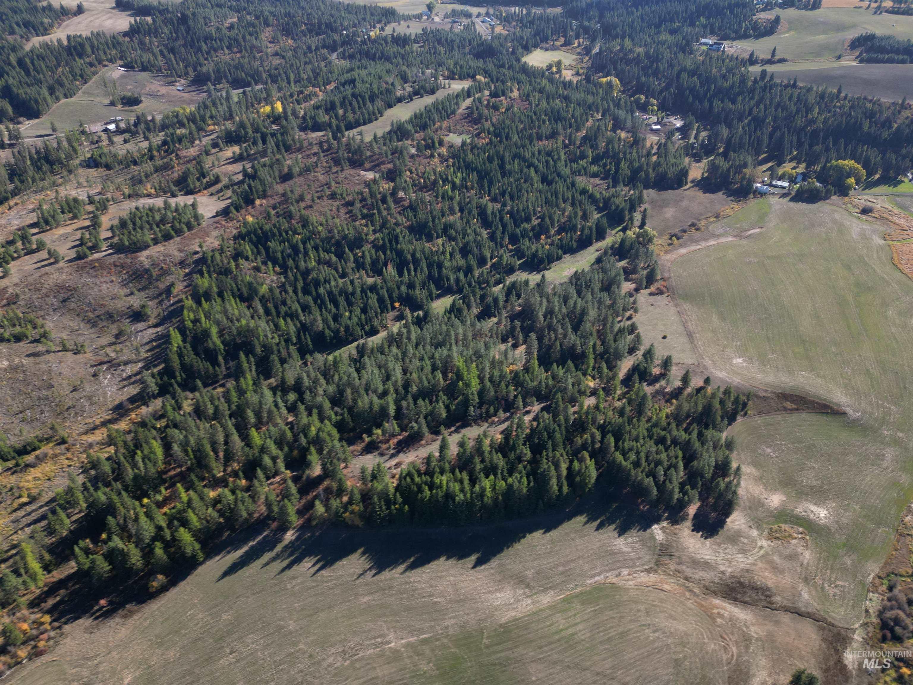 000 Spring Valley Rd., Troy, Idaho 83871, Land For Sale, Price $450,000, 98979170