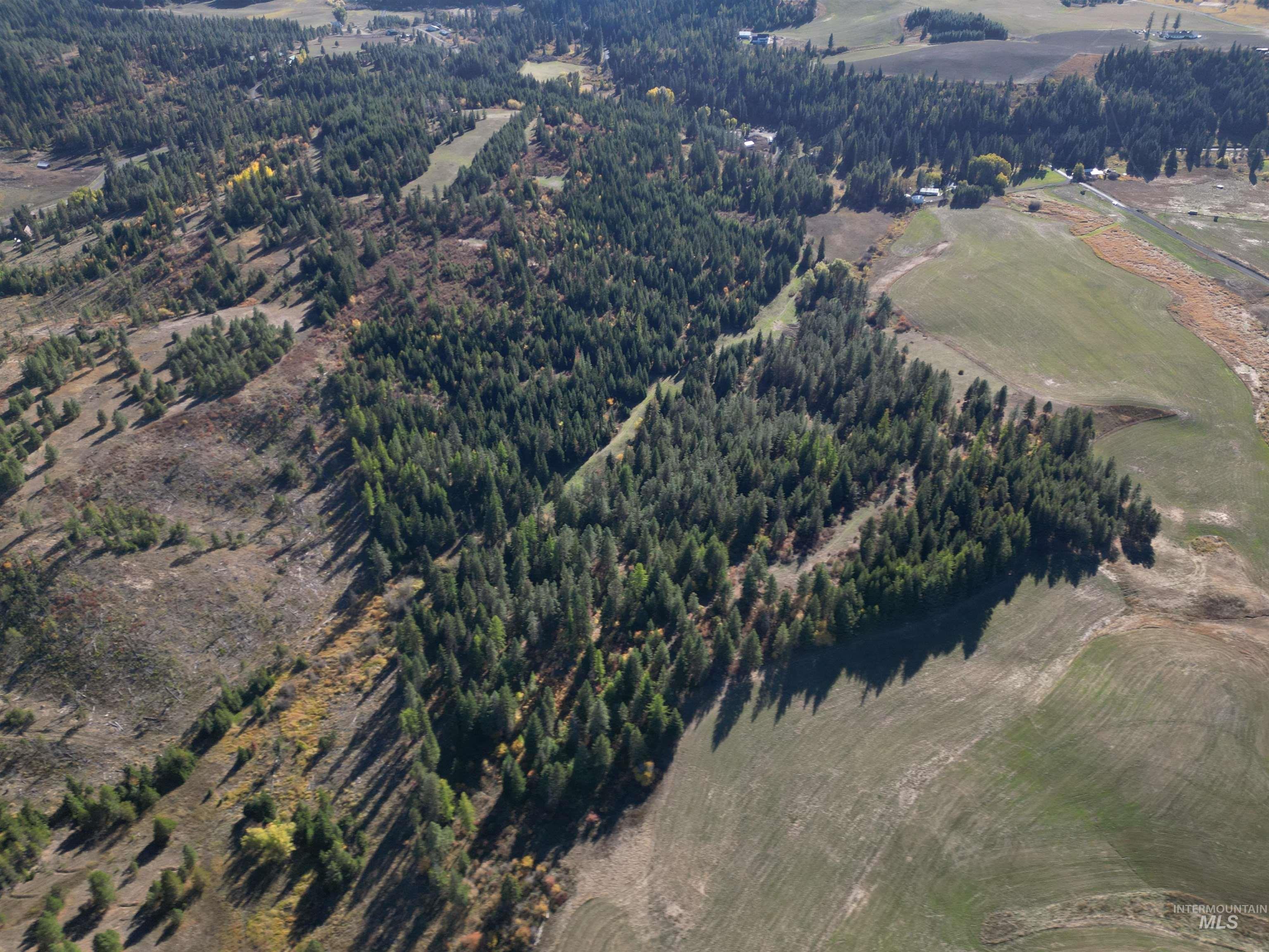 000 Spring Valley Rd., Troy, Idaho 83871, Land For Sale, Price $450,000, 98979170