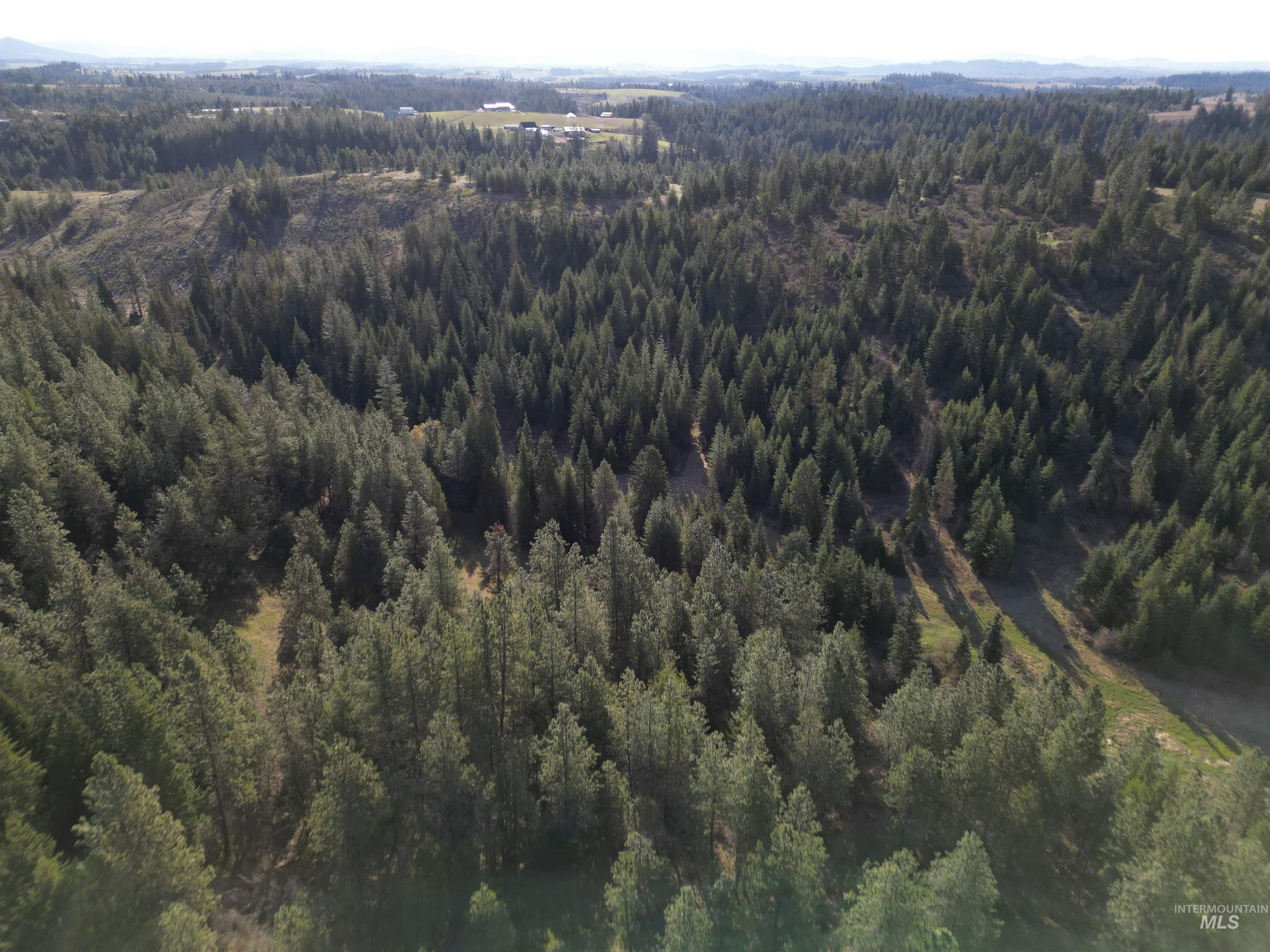 000 Spring Valley Rd., Troy, Idaho 83871, Land For Sale, Price $450,000, 98979170