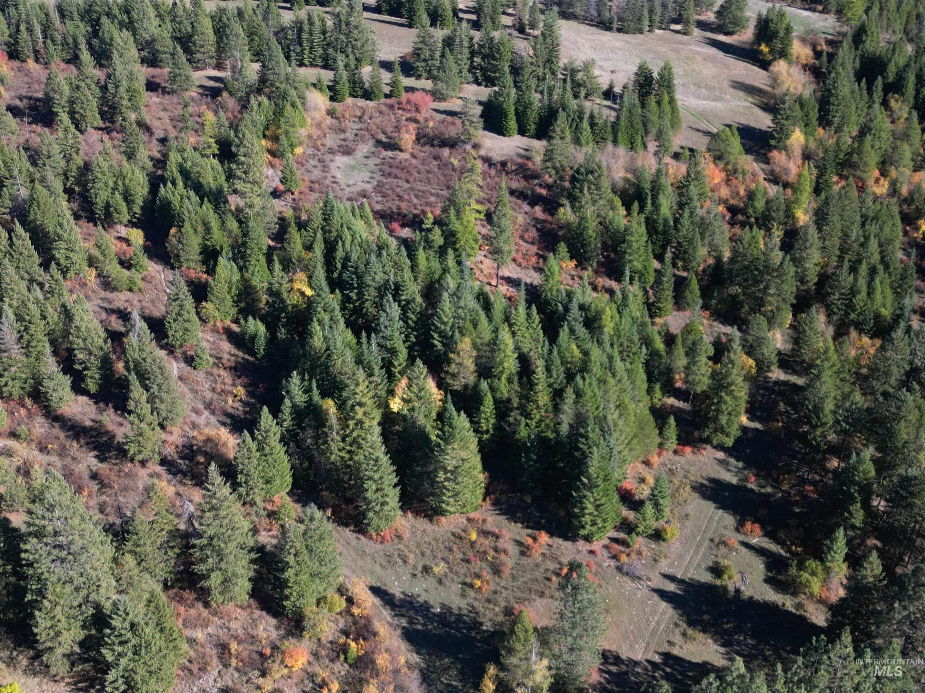 000 Spring Valley Rd., Troy, Idaho 83871, Land For Sale, Price $450,000, 98979170