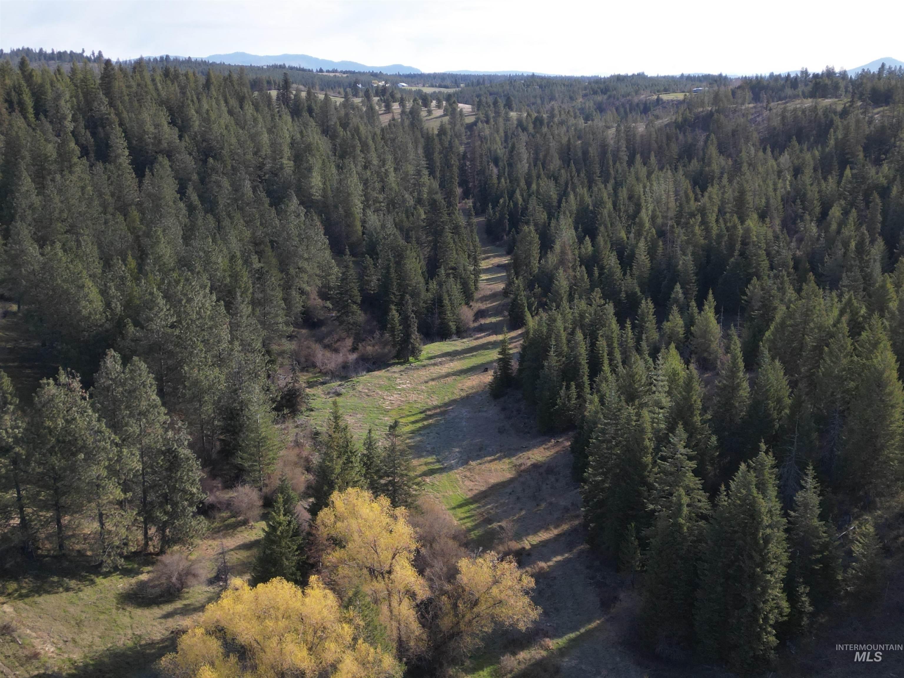 000 Spring Valley Rd., Troy, Idaho 83871, Land For Sale, Price $450,000, 98979170
