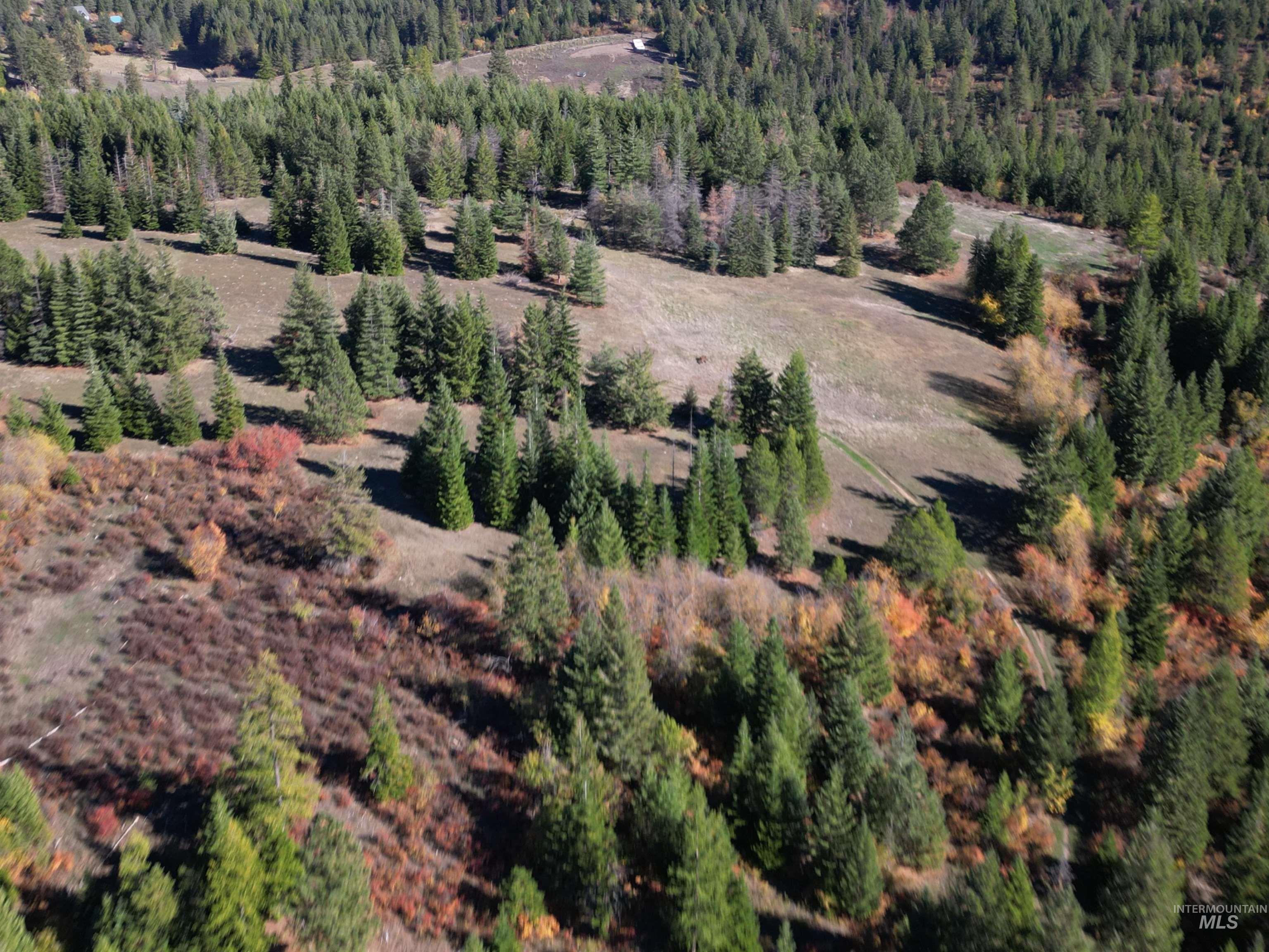 000 Spring Valley Rd., Troy, Idaho 83871, Land For Sale, Price $450,000, 98979170